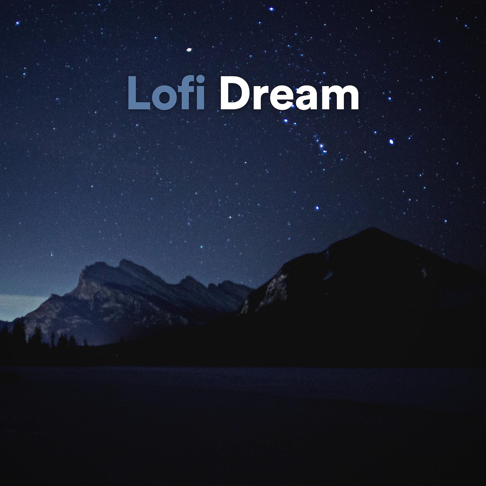 Постер альбома Lofi Dream