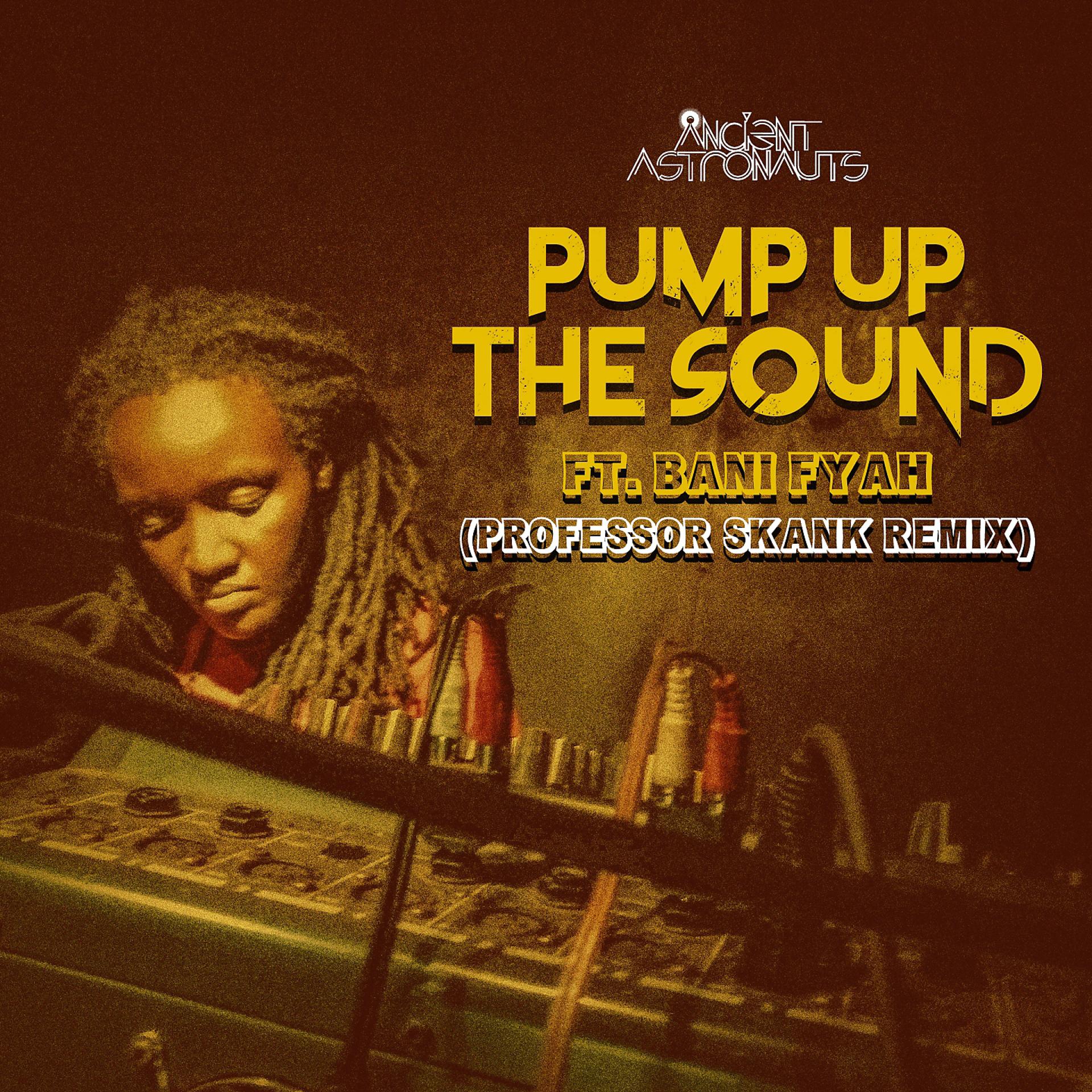 Постер альбома Pump up the Sound