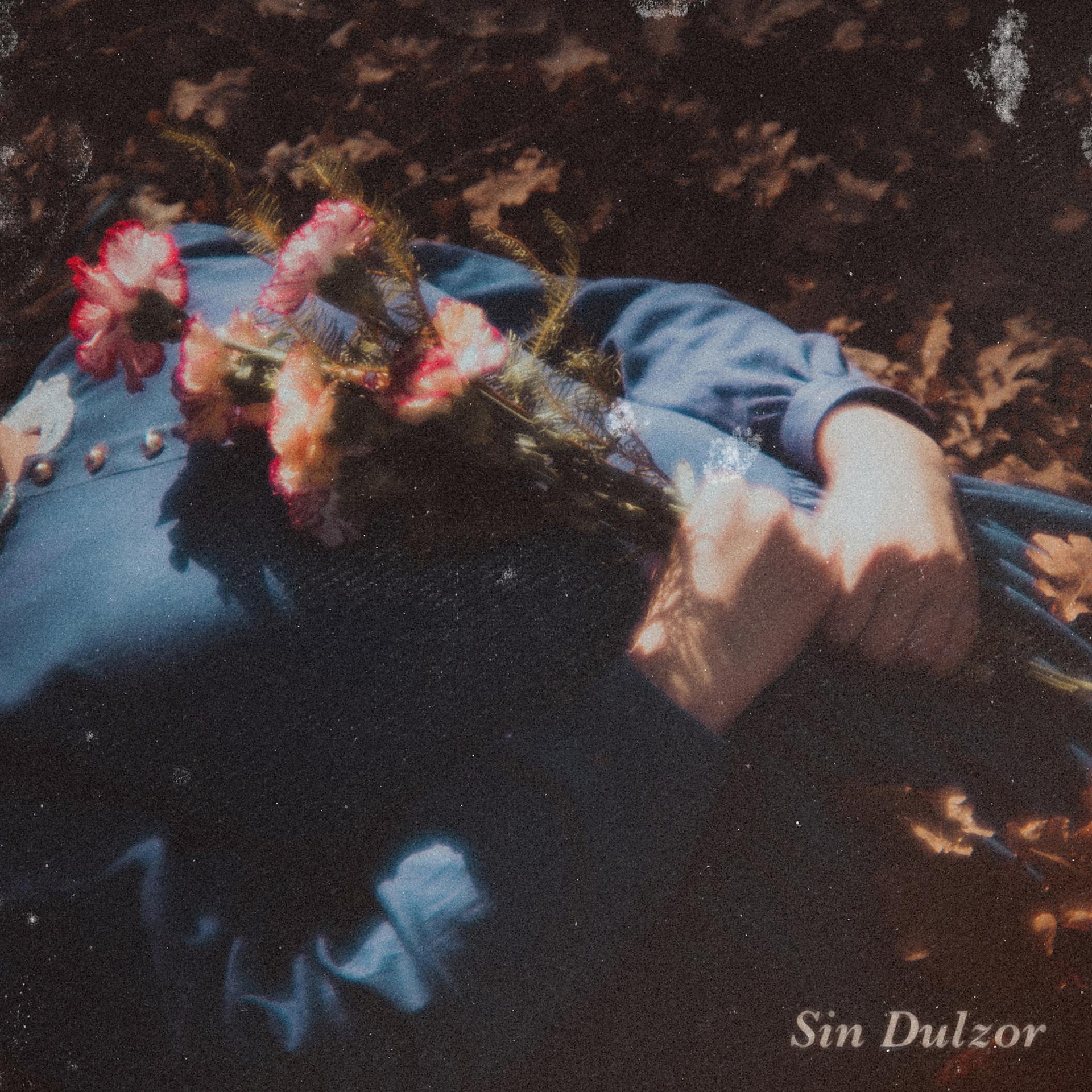 Постер альбома Sin Dulzor