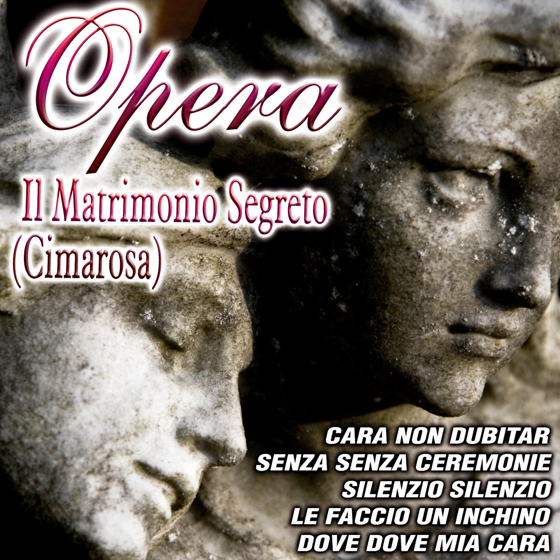 Постер альбома Opera - Il Matrimonio Segreto