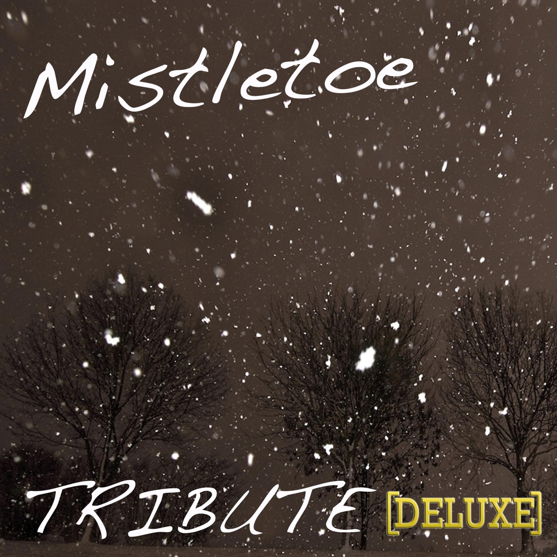 Постер альбома Mistletoe (Justin Bieber Tribute Deluxe)