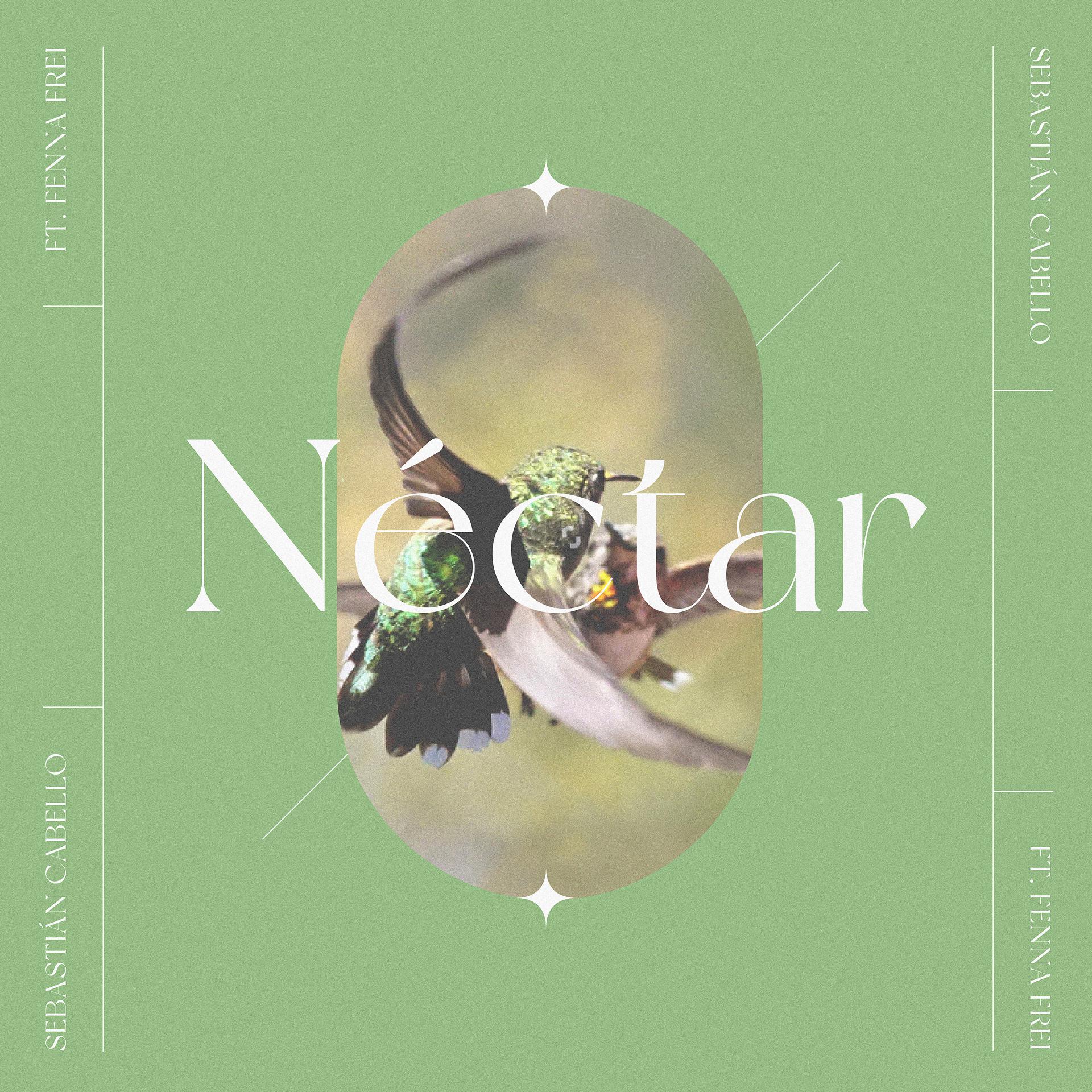 Постер альбома Néctar