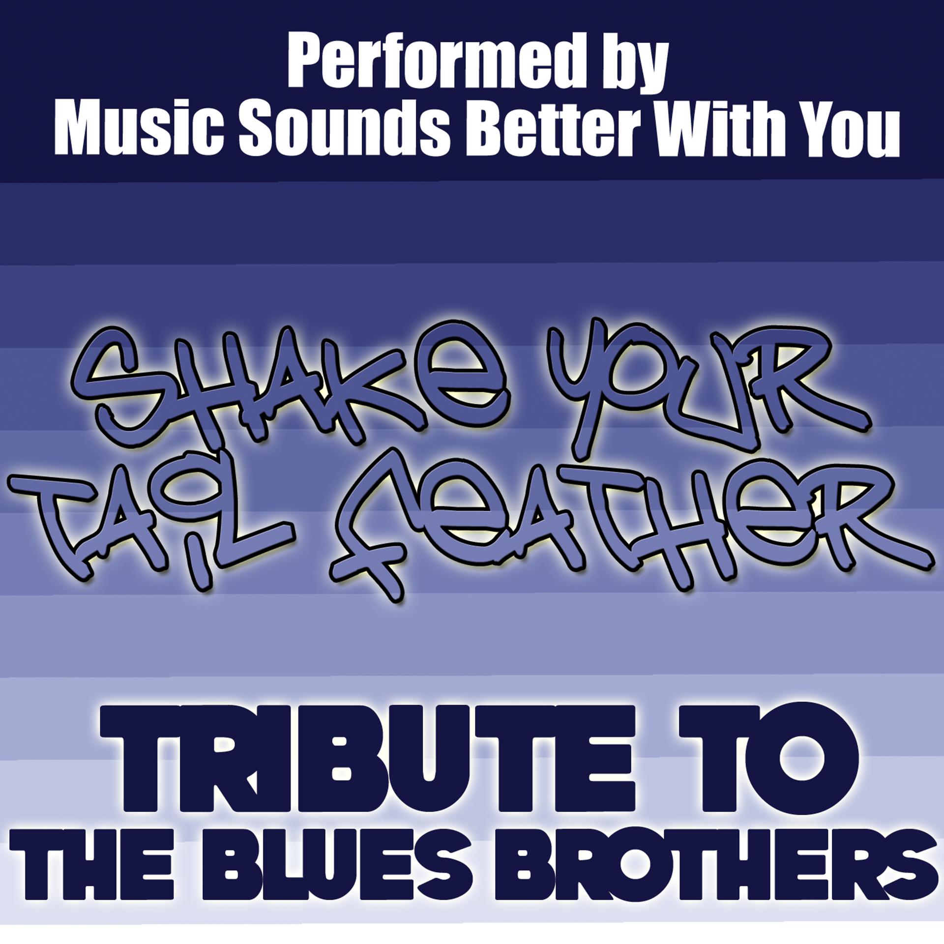 Постер альбома Shake Your Tail Feather: Tribute To The Blues Brothers
