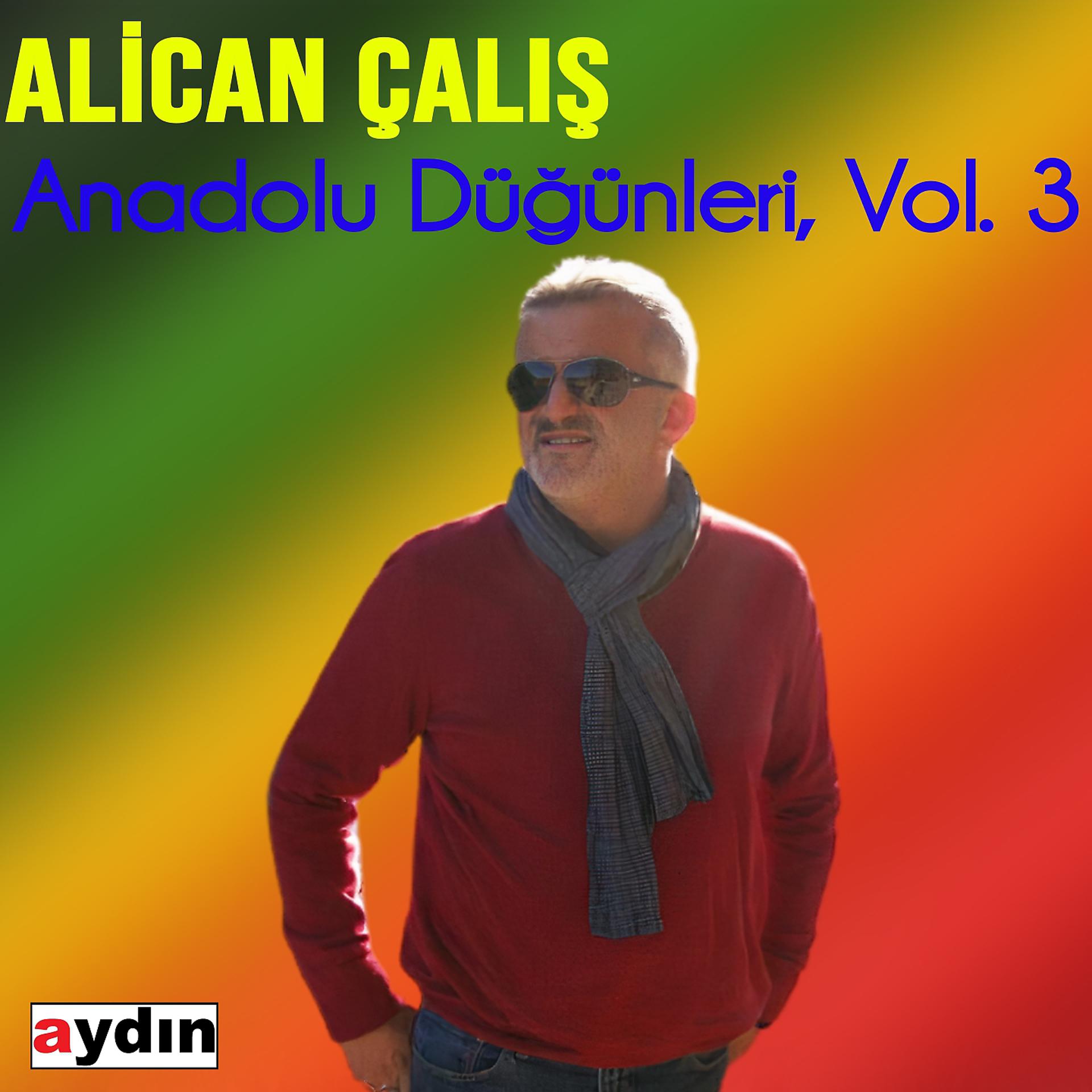 Постер альбома Anadolu Düğünleri, Vol. 3