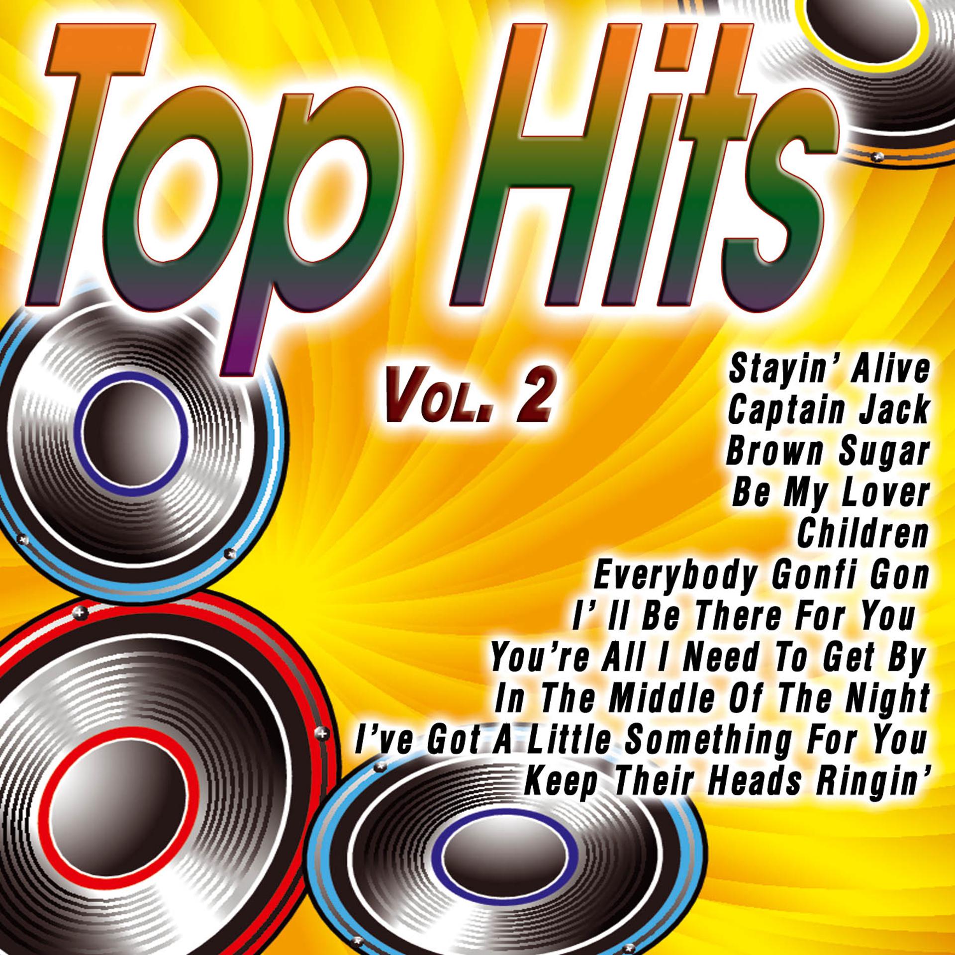 Постер альбома Top Hits Vol.2