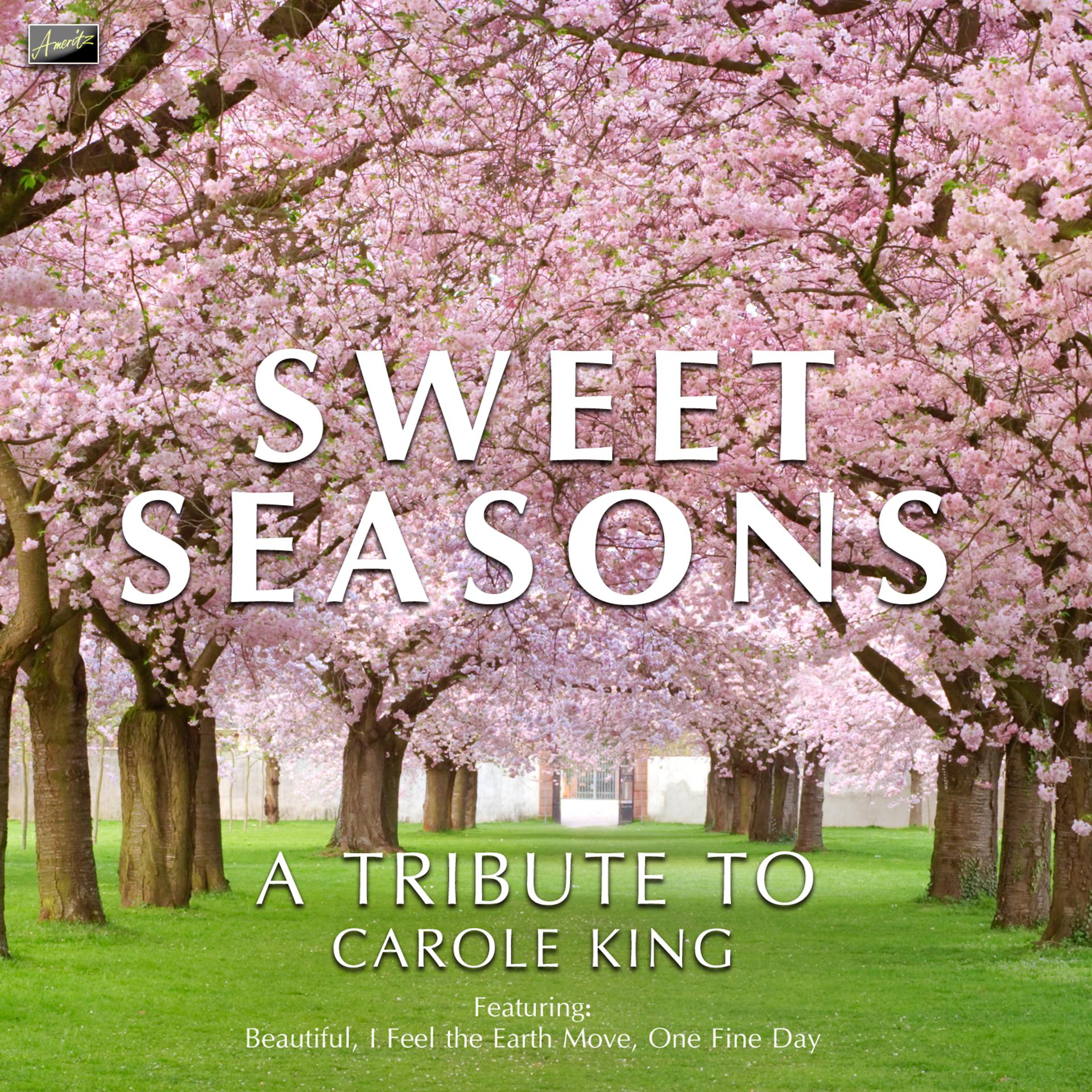 Постер альбома Sweet Seasons - A Tribute to Carole King