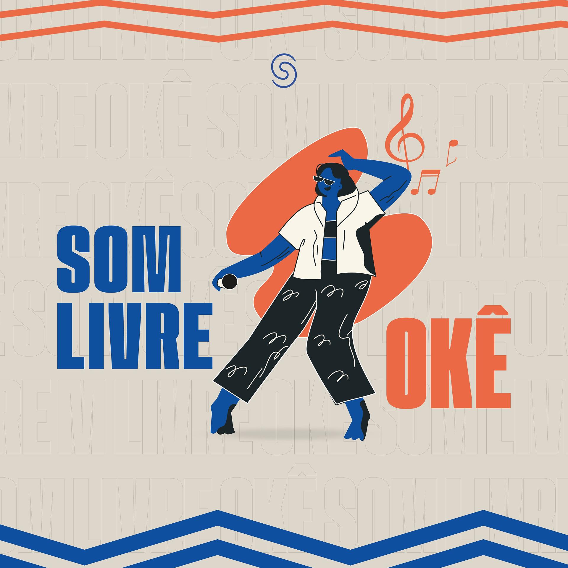 Постер альбома Karaokê Som Livre