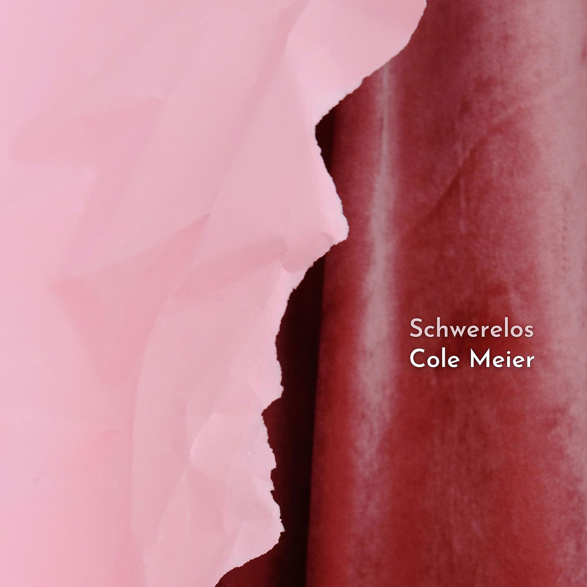 Постер альбома Schwerelos