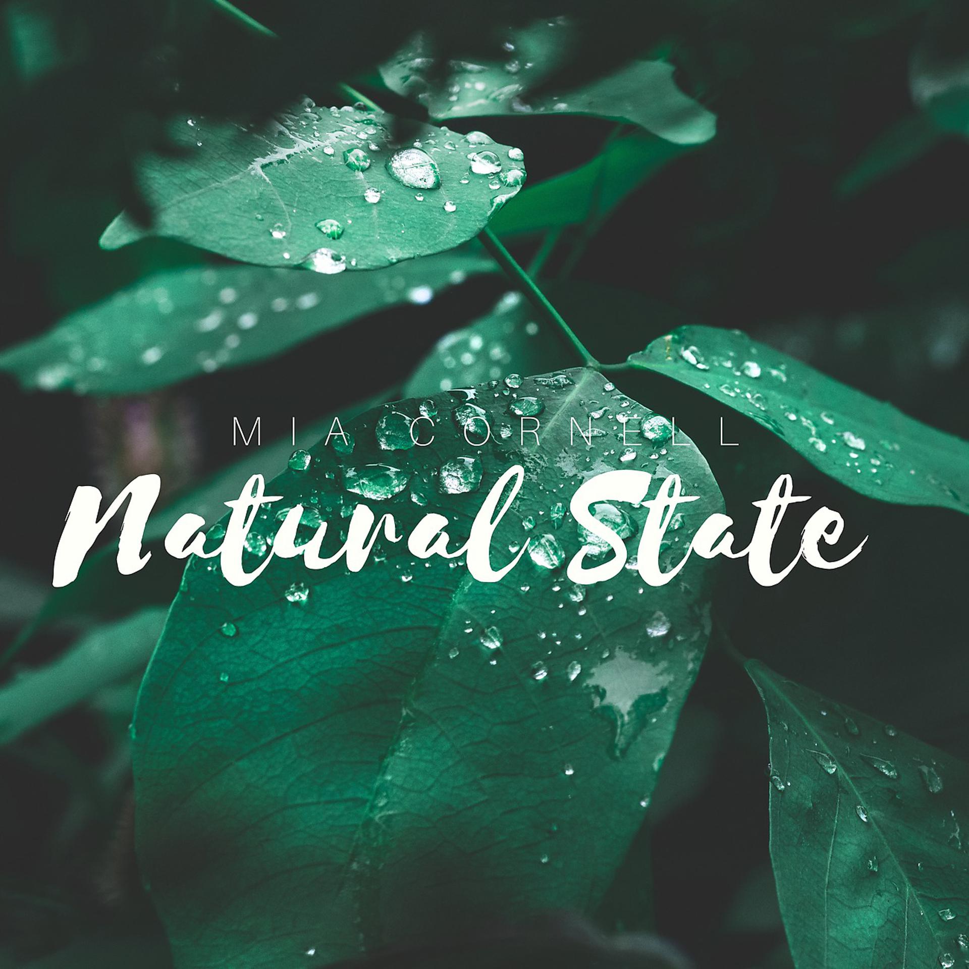Постер альбома Natural State