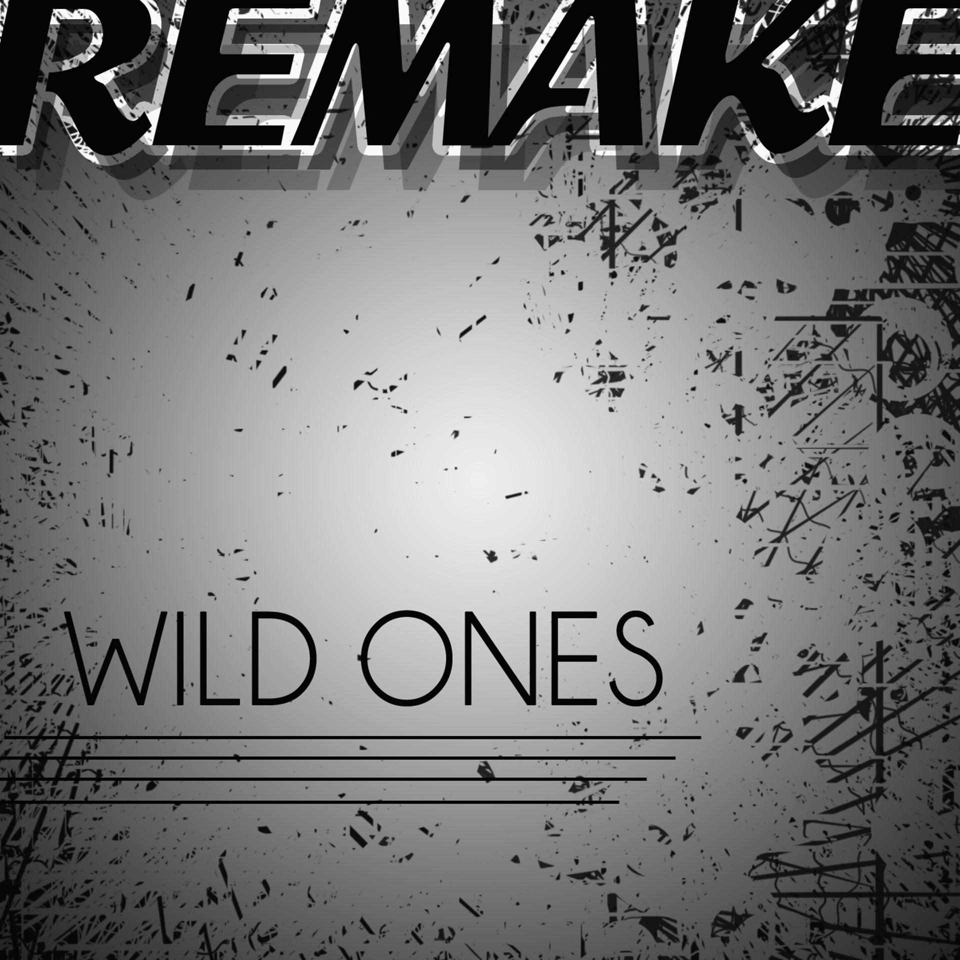 Постер альбома Wild Ones (Flo Rida feat. Sia Remake) - Single