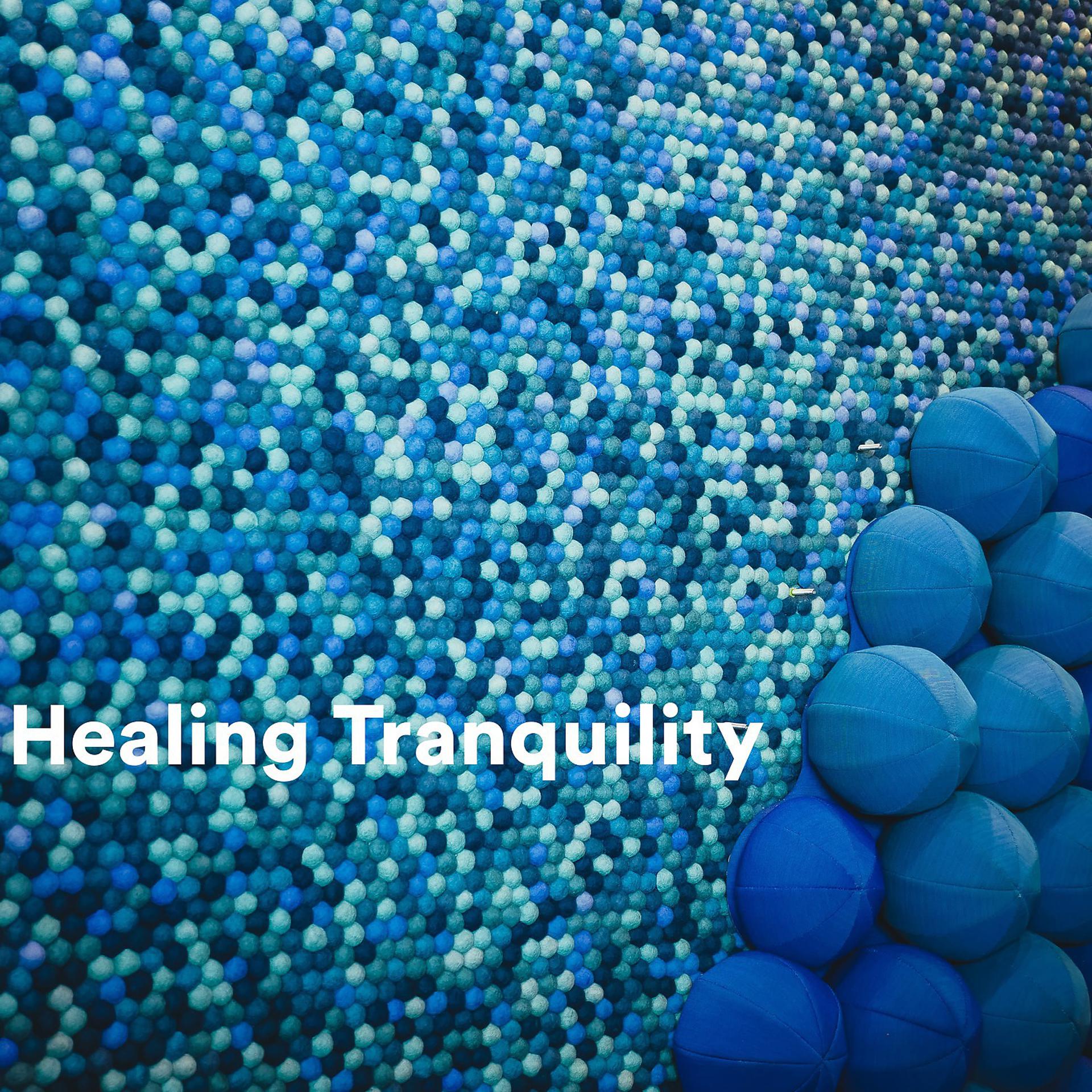 Постер альбома Healing Tranquility