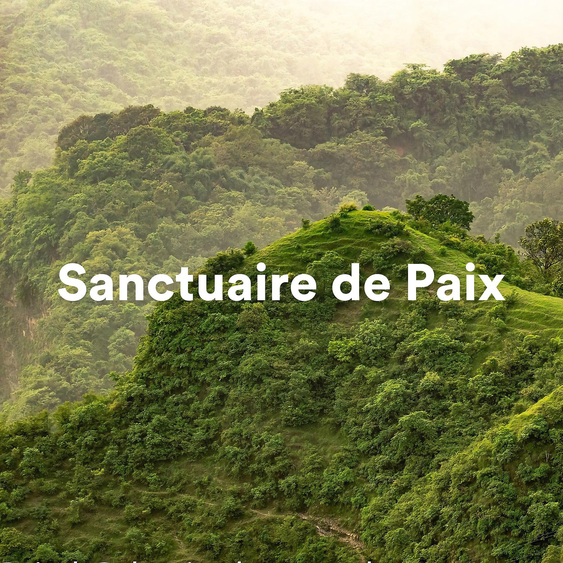 Постер альбома Sanctuaire de paix