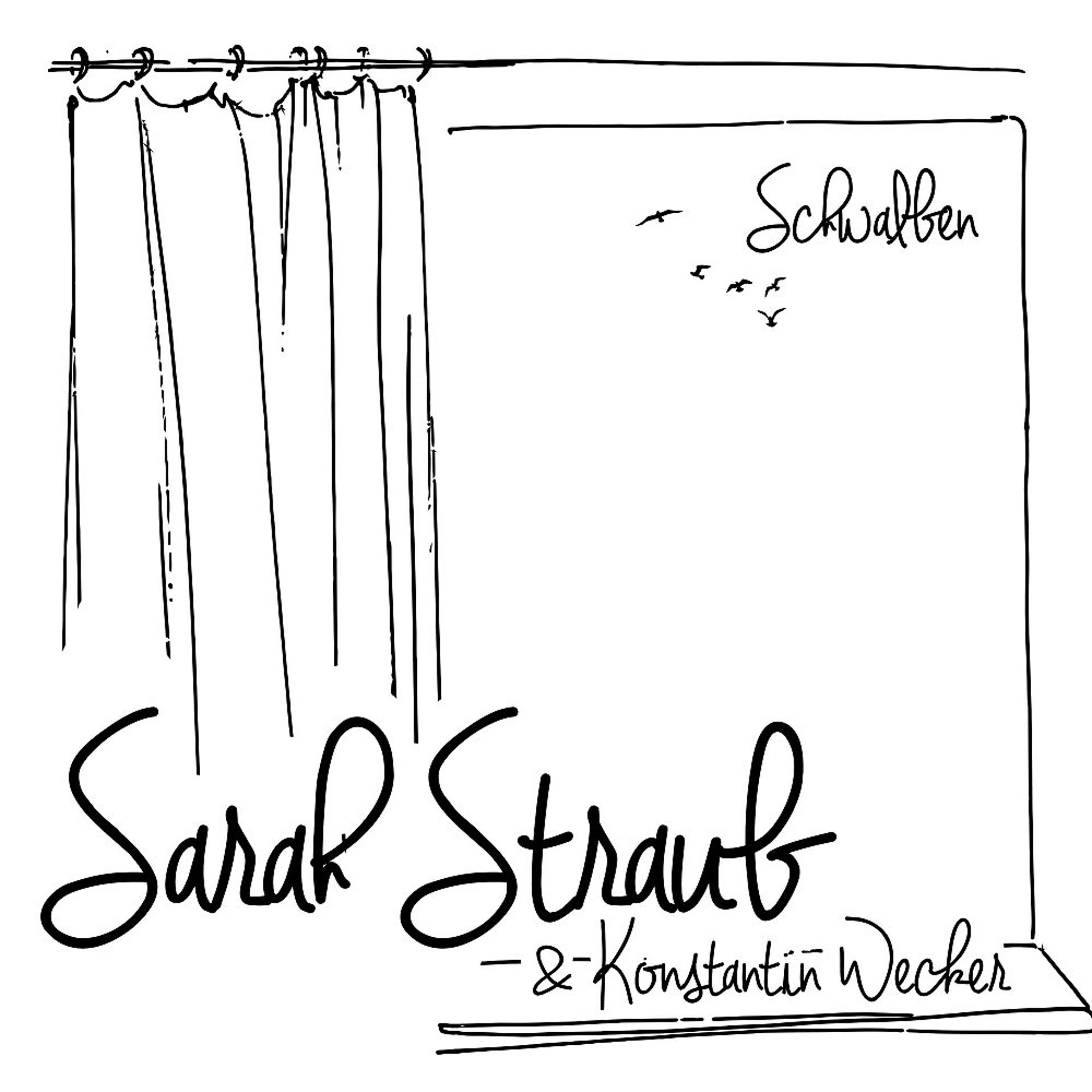 Постер альбома Schwalben