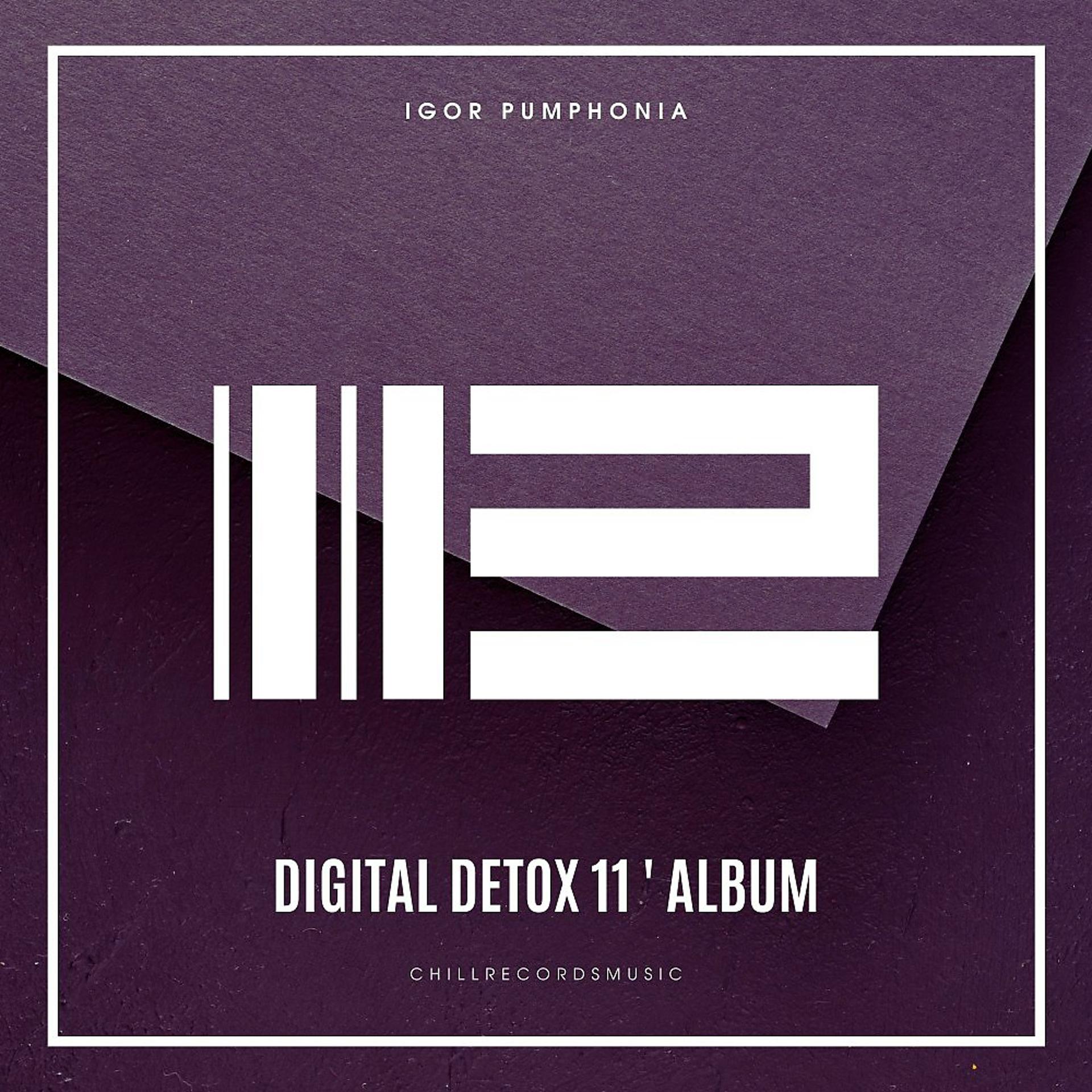 Постер альбома Digital Detox 11