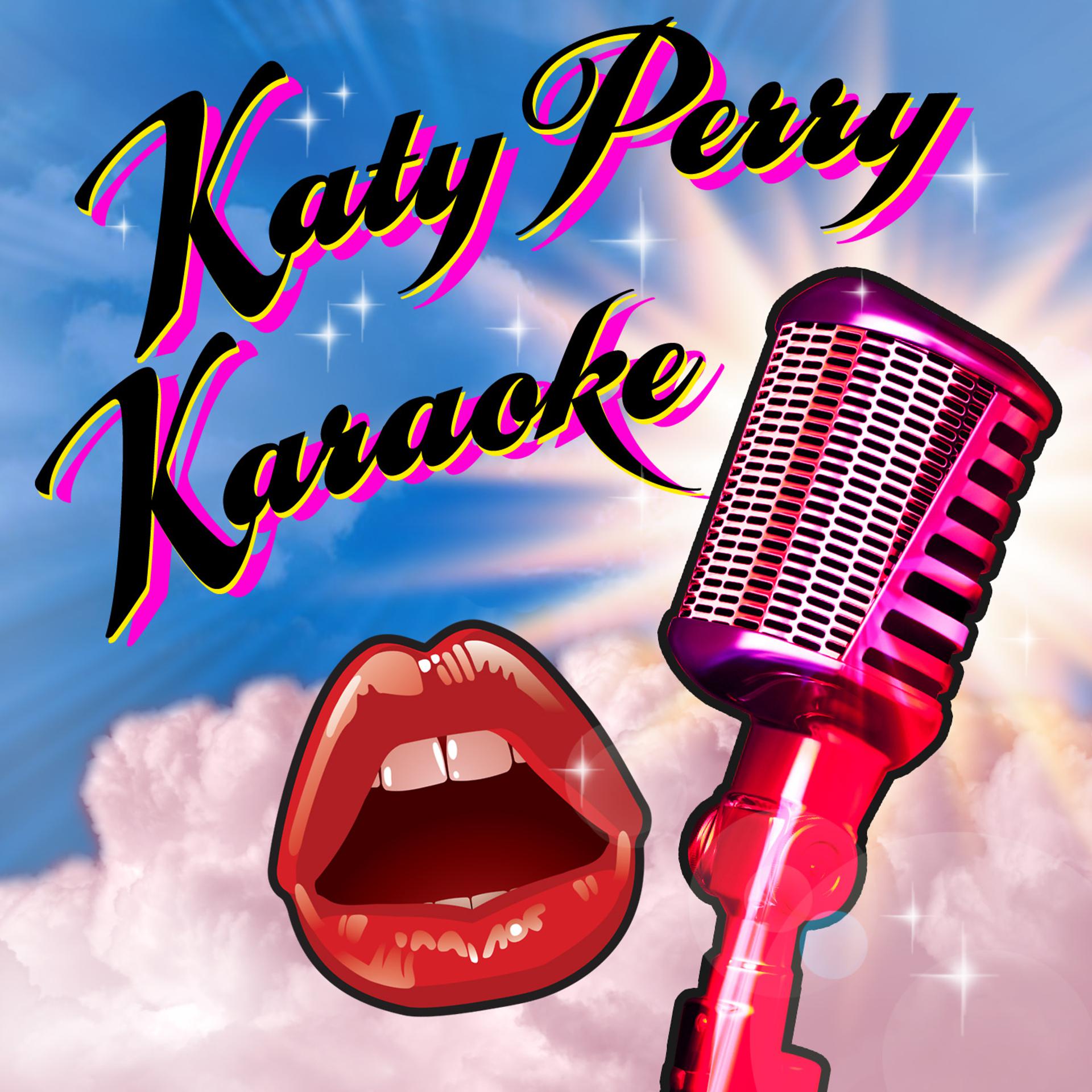 Постер альбома Katy Perry Karaoke