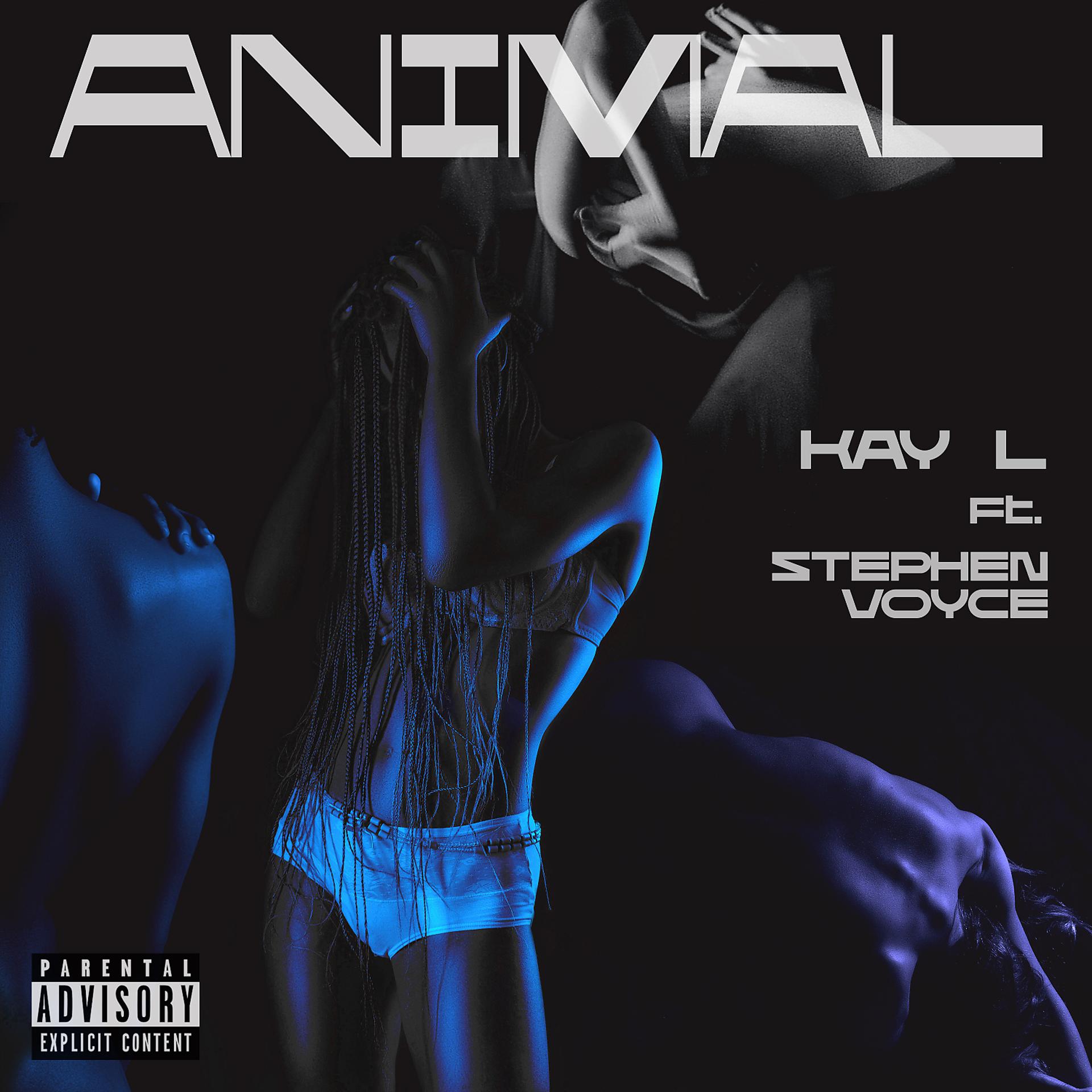 Постер альбома Animal (feat. Stephen Voyce)