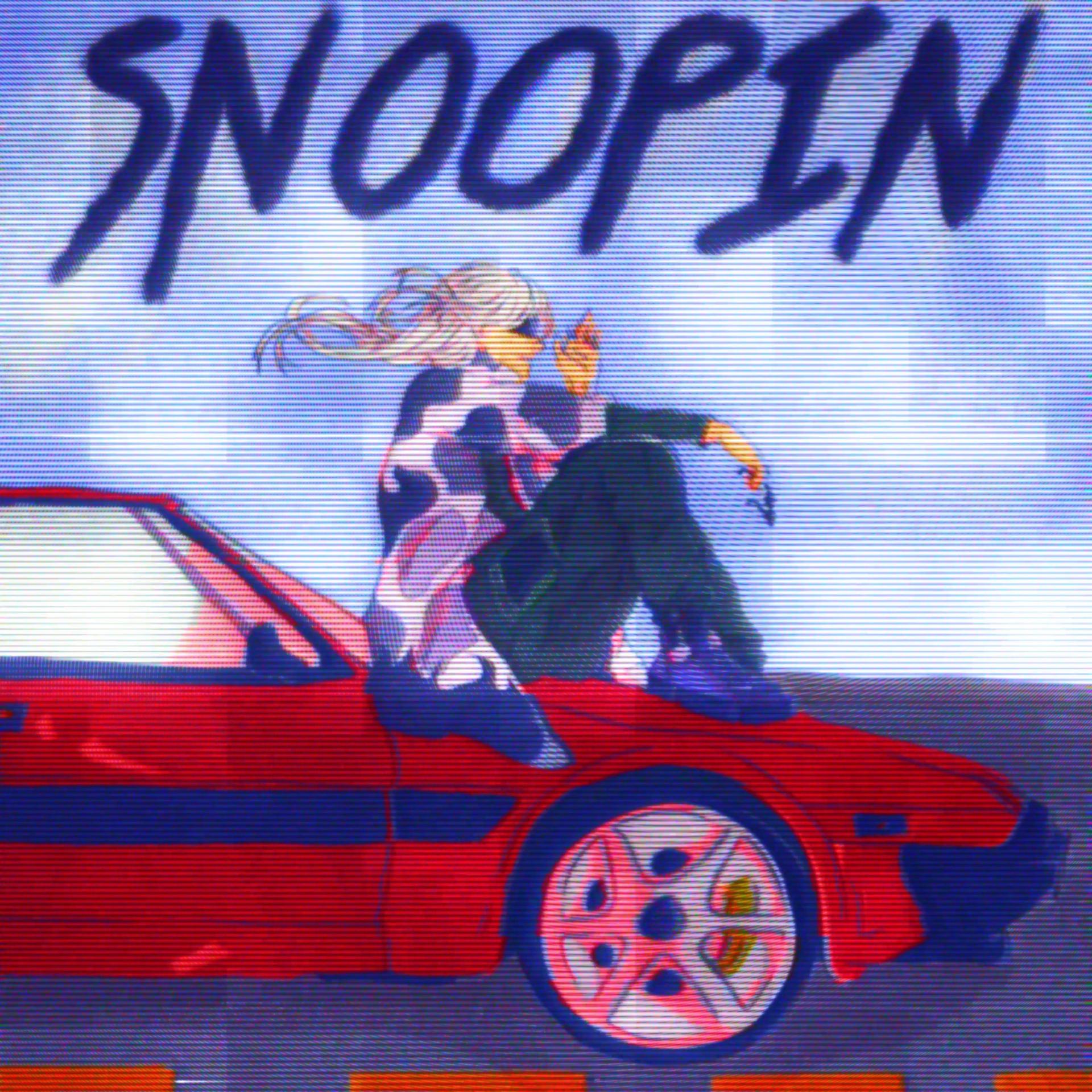 Постер альбома SNOOPIN