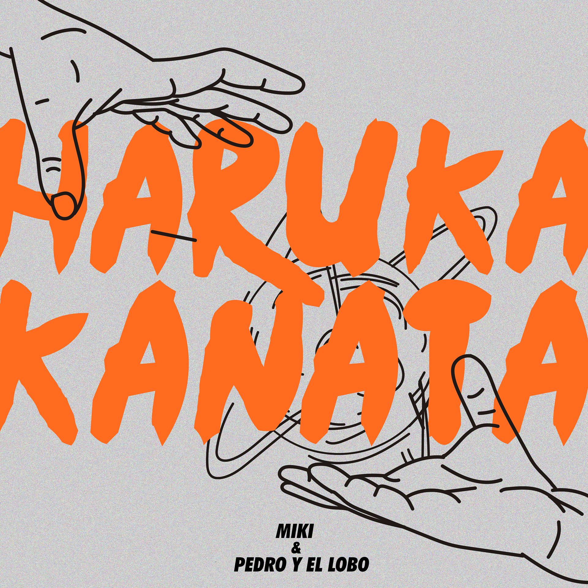 Постер альбома Haruka Kanata