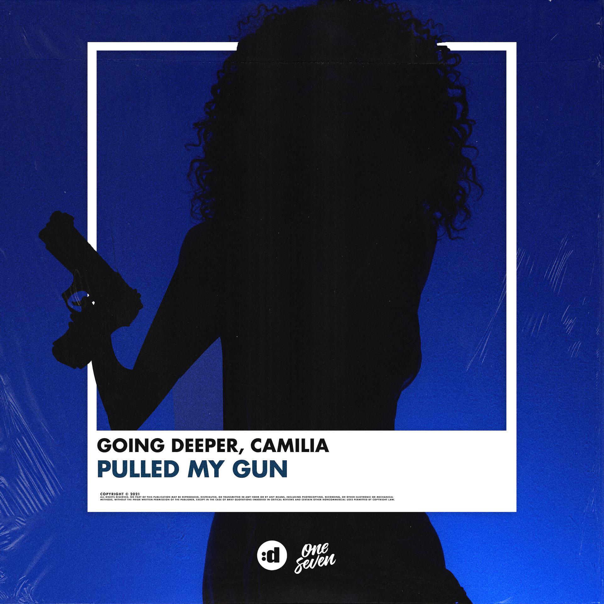Постер альбома Pulled My Gun