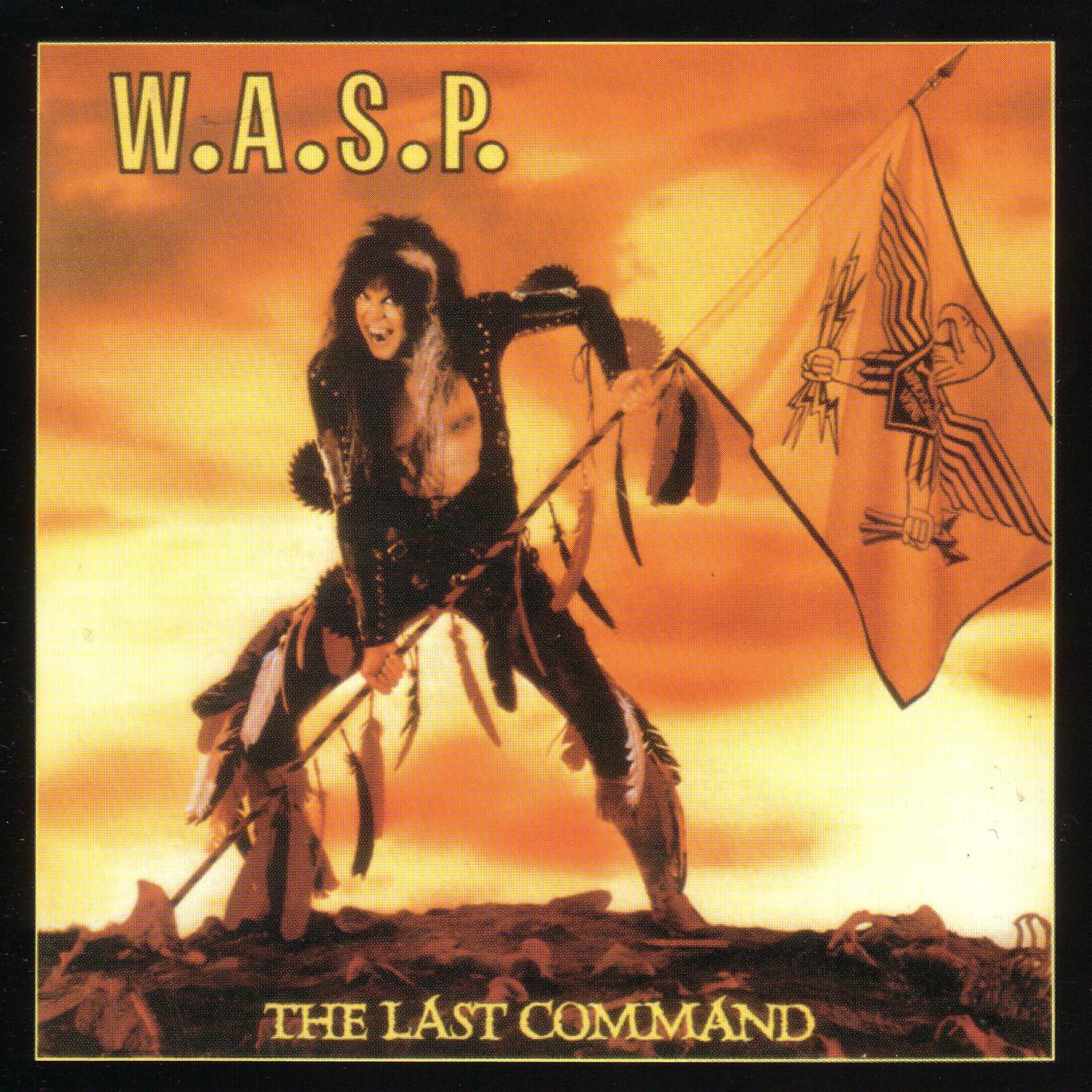 Постер альбома The Last Command