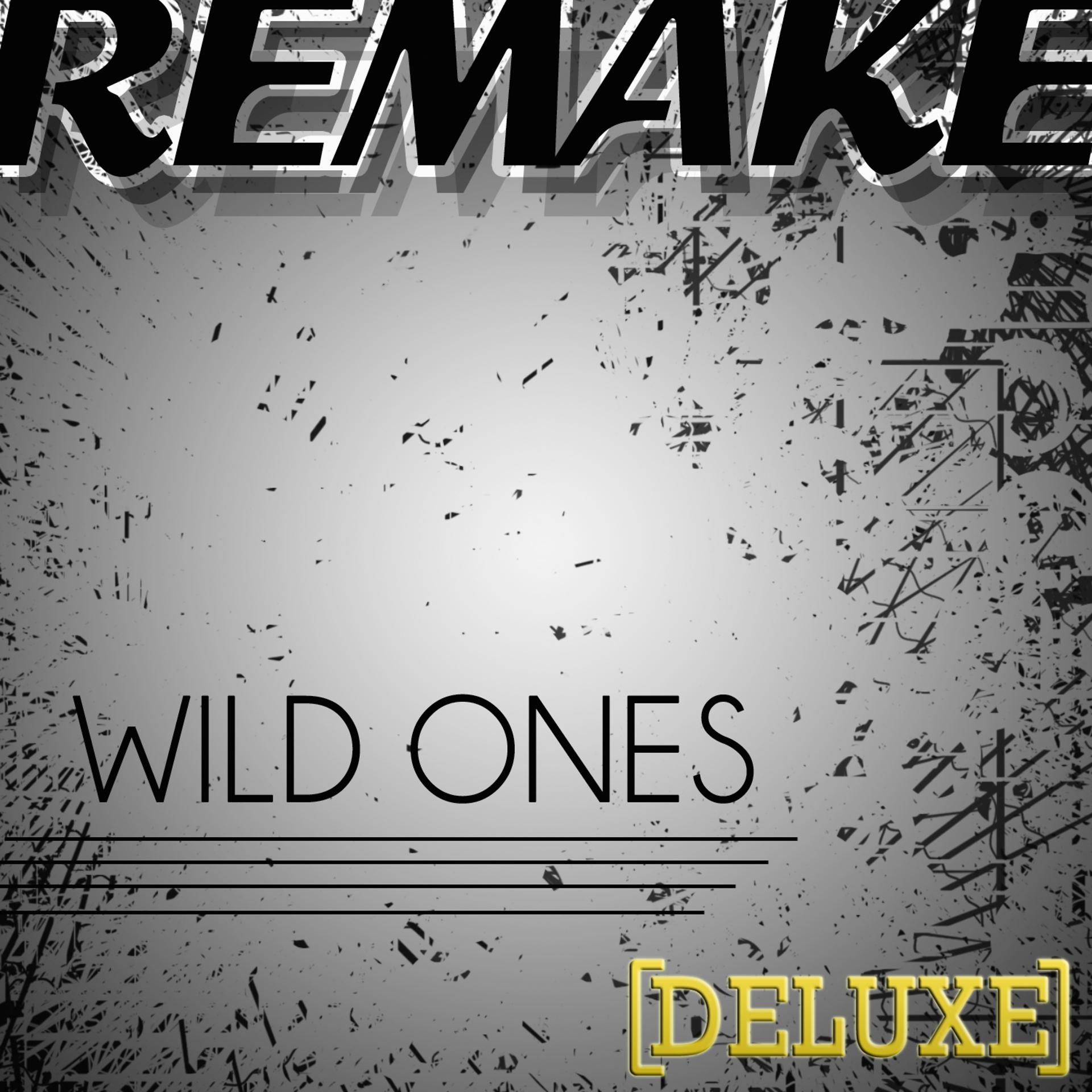 Постер альбома Wild Ones (Flo Rida feat. Sia Deluxe Remake) - Single