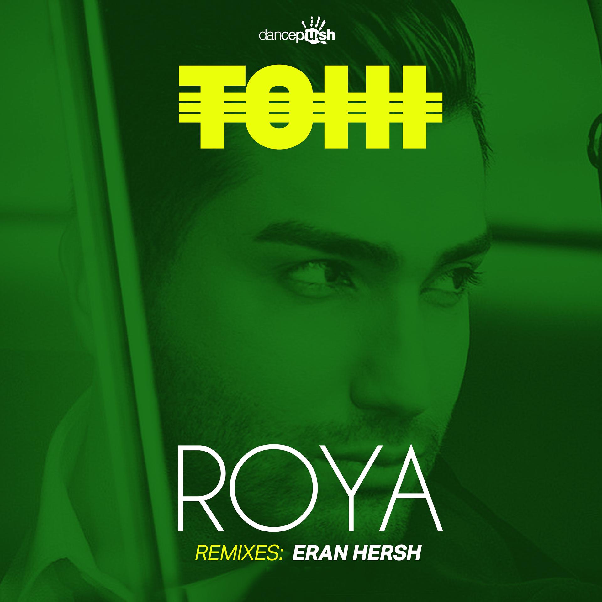 Постер альбома Roya (Remix)