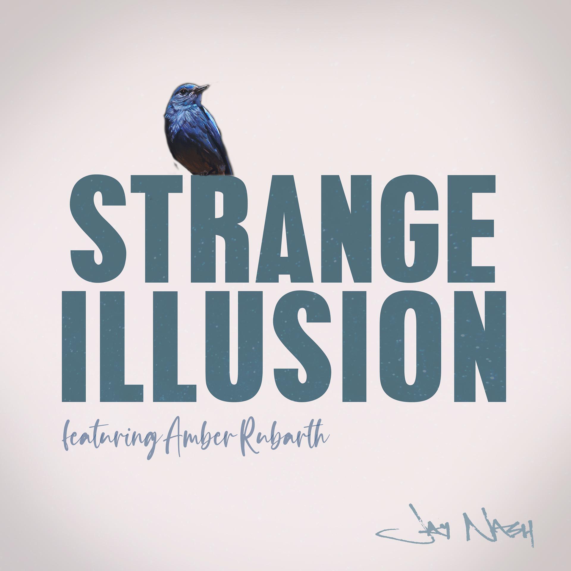Постер альбома Strange Illusion (Duet)