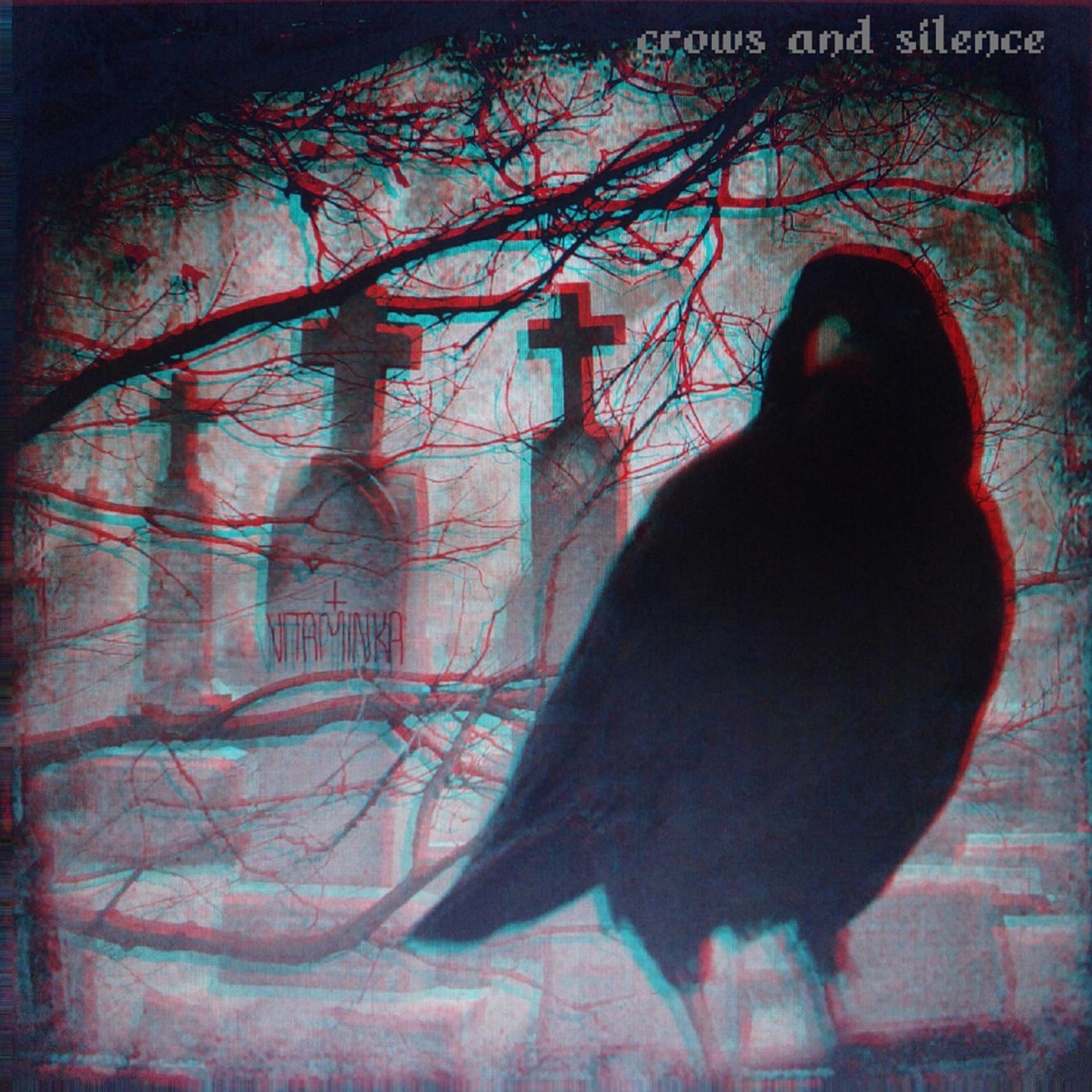 Постер альбома Crows and silence
