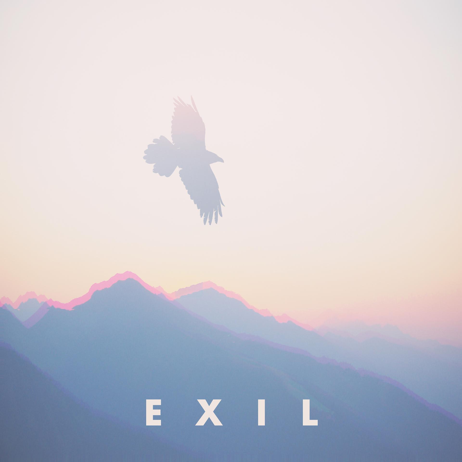Постер альбома Exil
