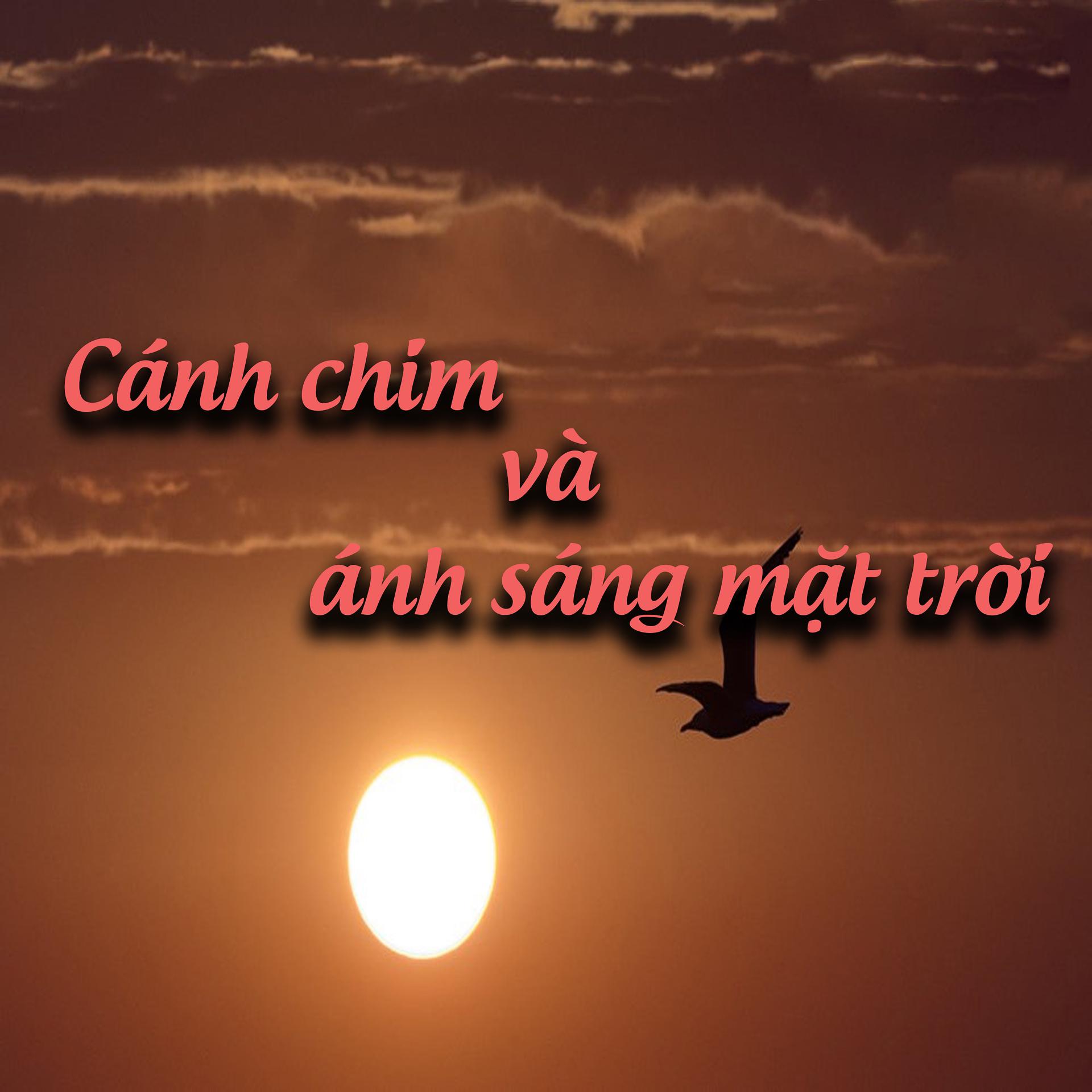 Постер альбома Cánh Chim Và Ánh Sáng Mặt Trời