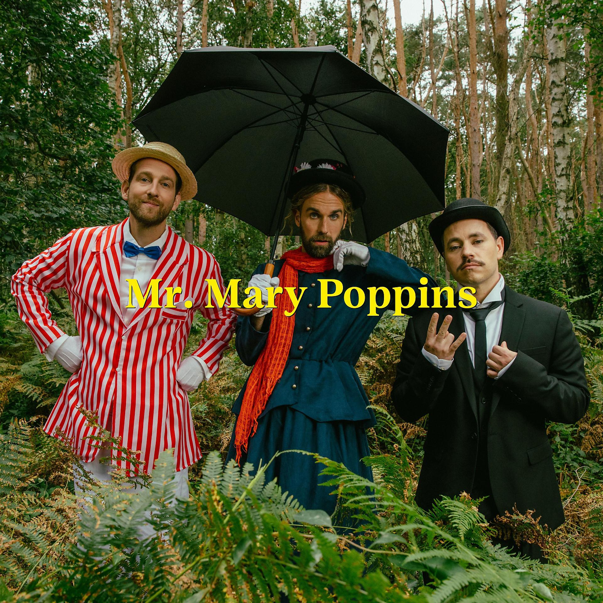 Постер альбома Mr. Mary Poppins