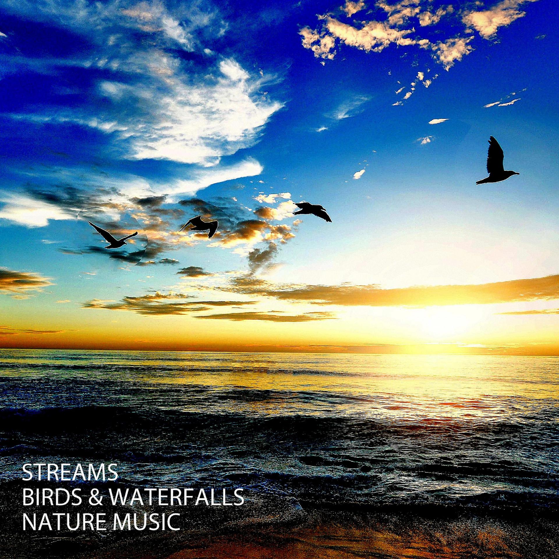 Постер альбома Streams: Birds & Waterfalls Nature Music