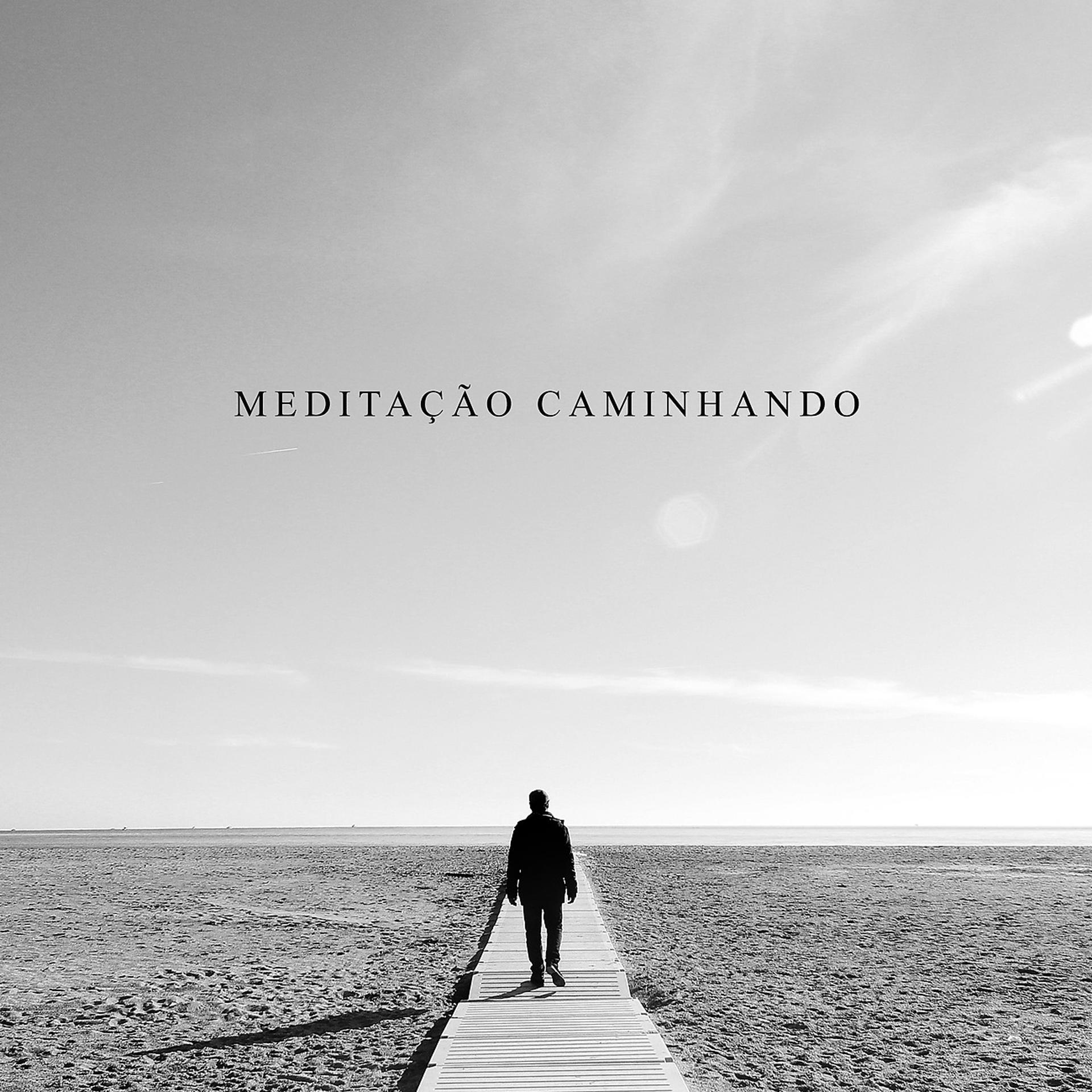 Постер альбома Meditação Caminhando