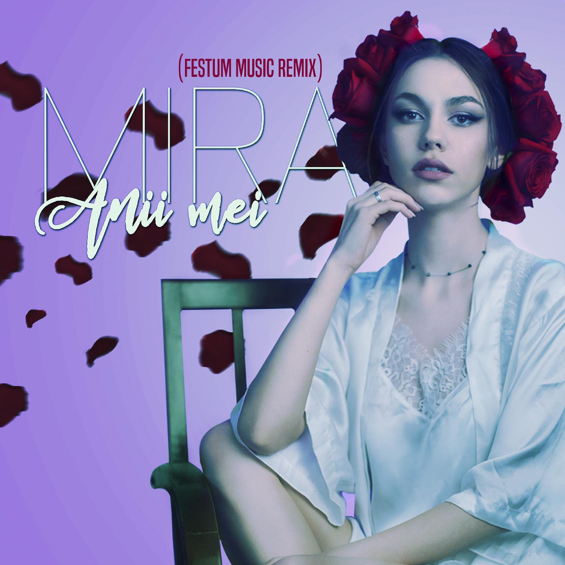 Постер альбома Anii mei (Festum Music Remix)