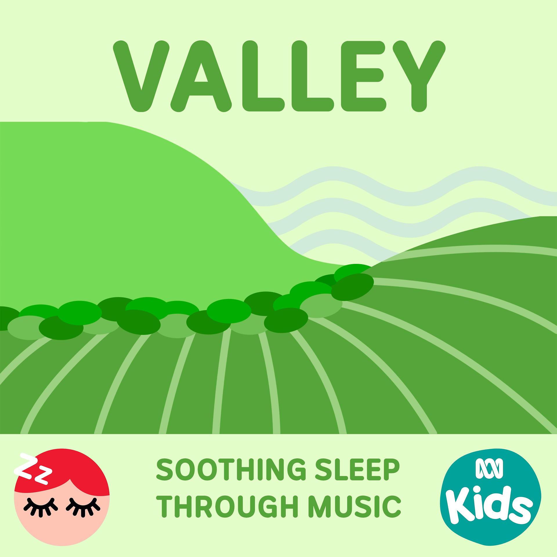 Постер альбома Valley - Soothing Sleep Through Music