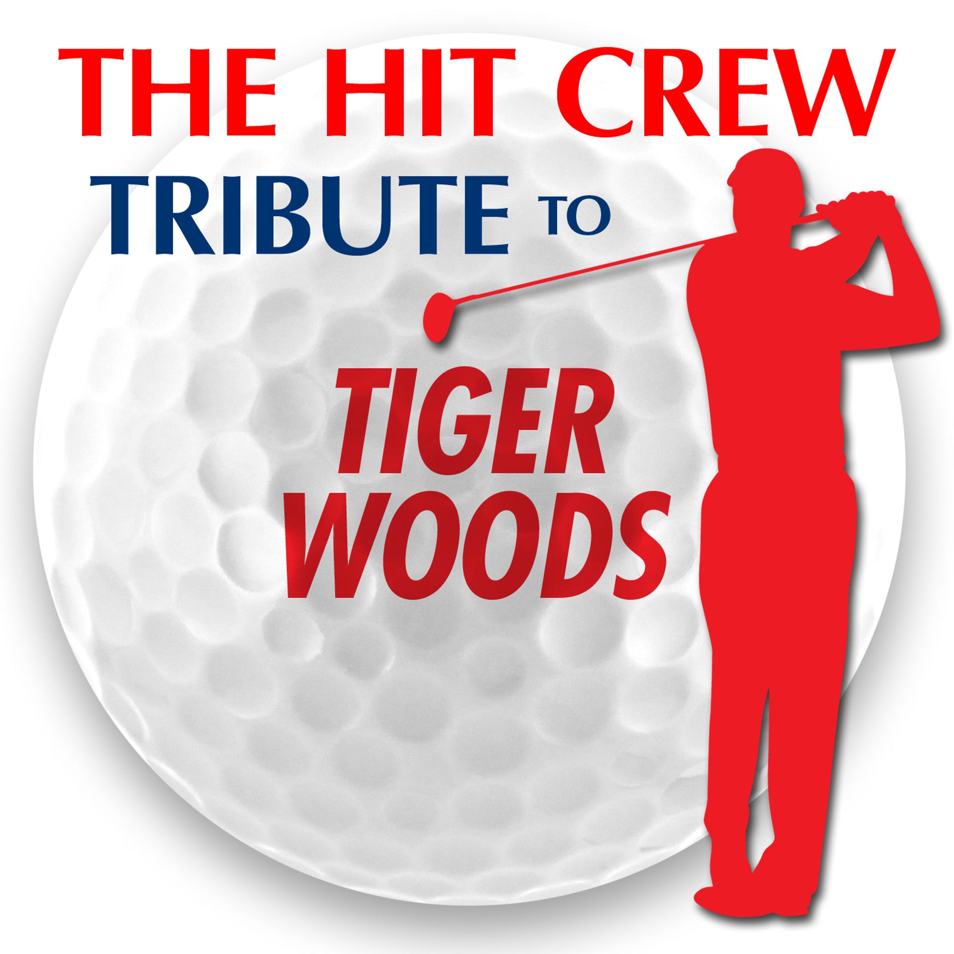 Постер альбома Tribute to Tiger Woods
