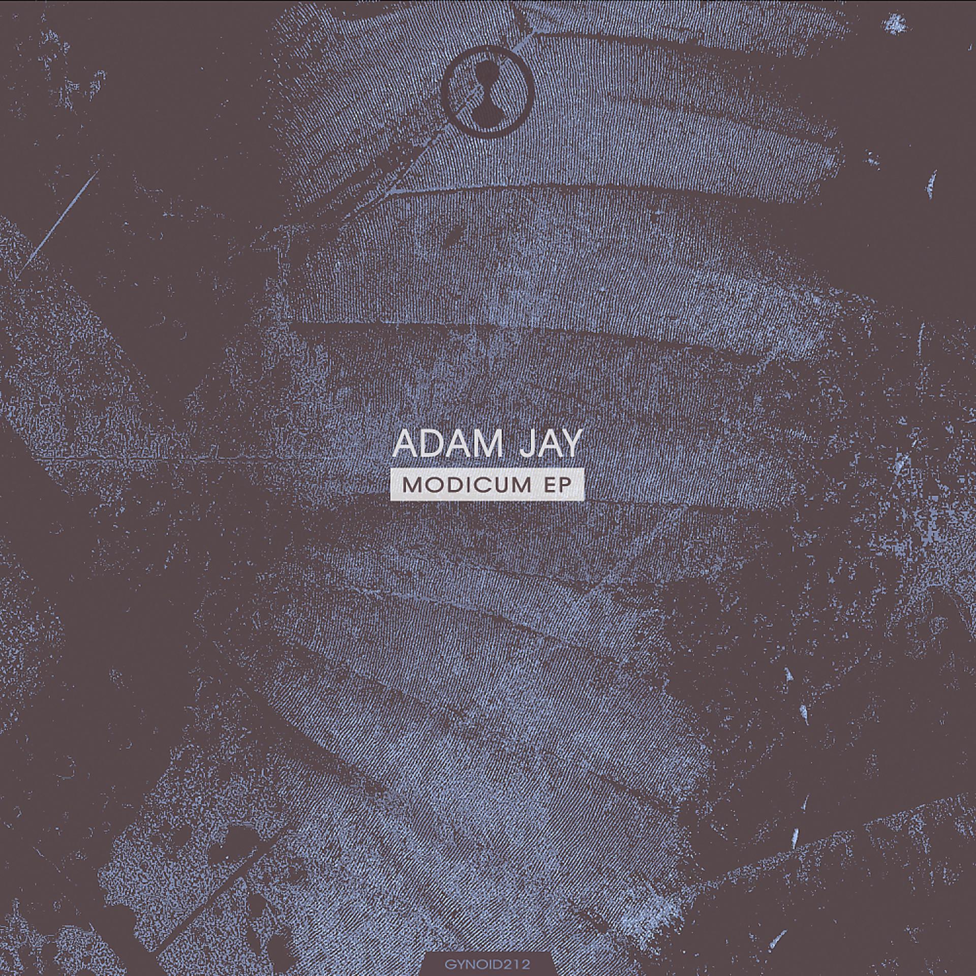 Постер альбома Modicum EP