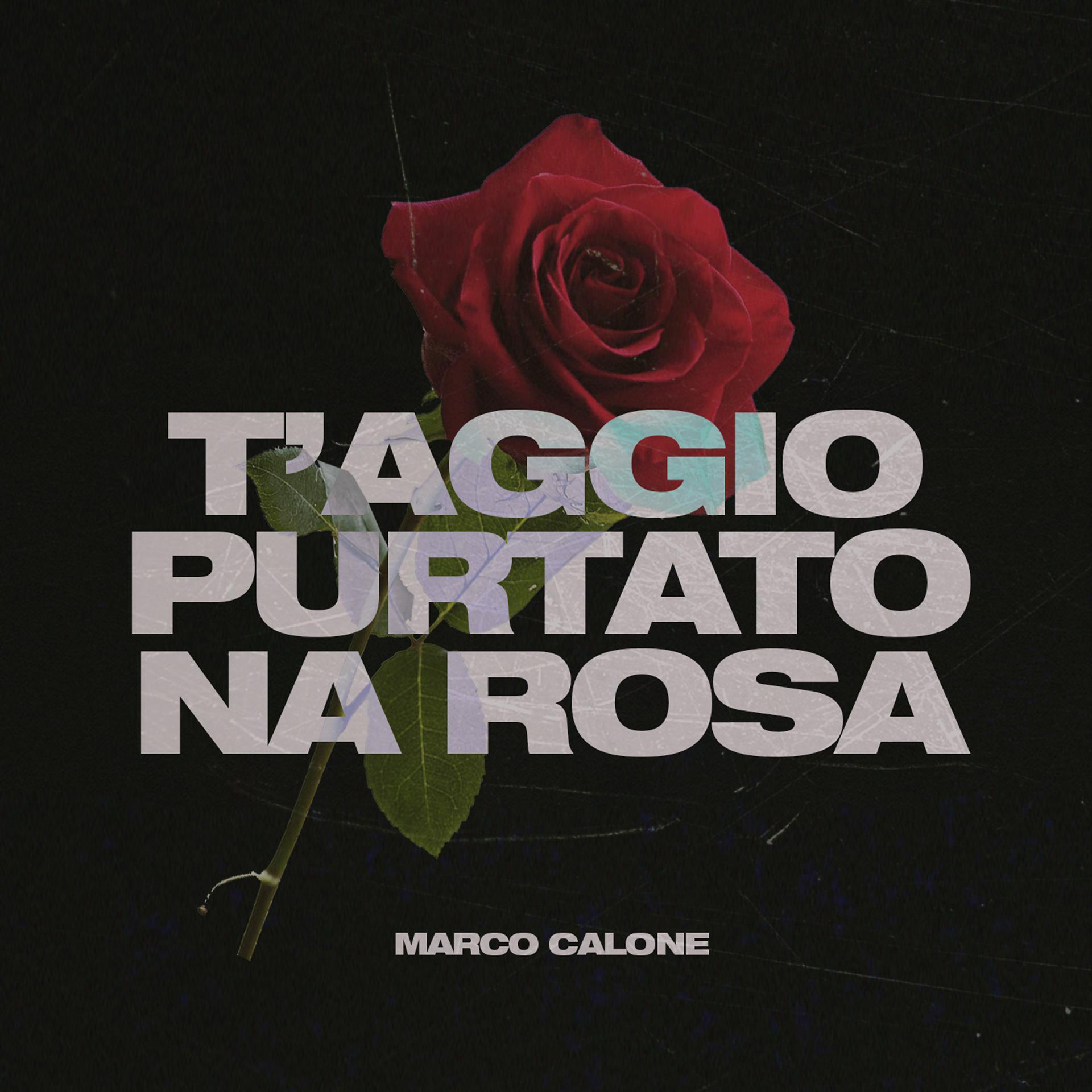 Постер альбома T'Aggio Purtato Na Rosa