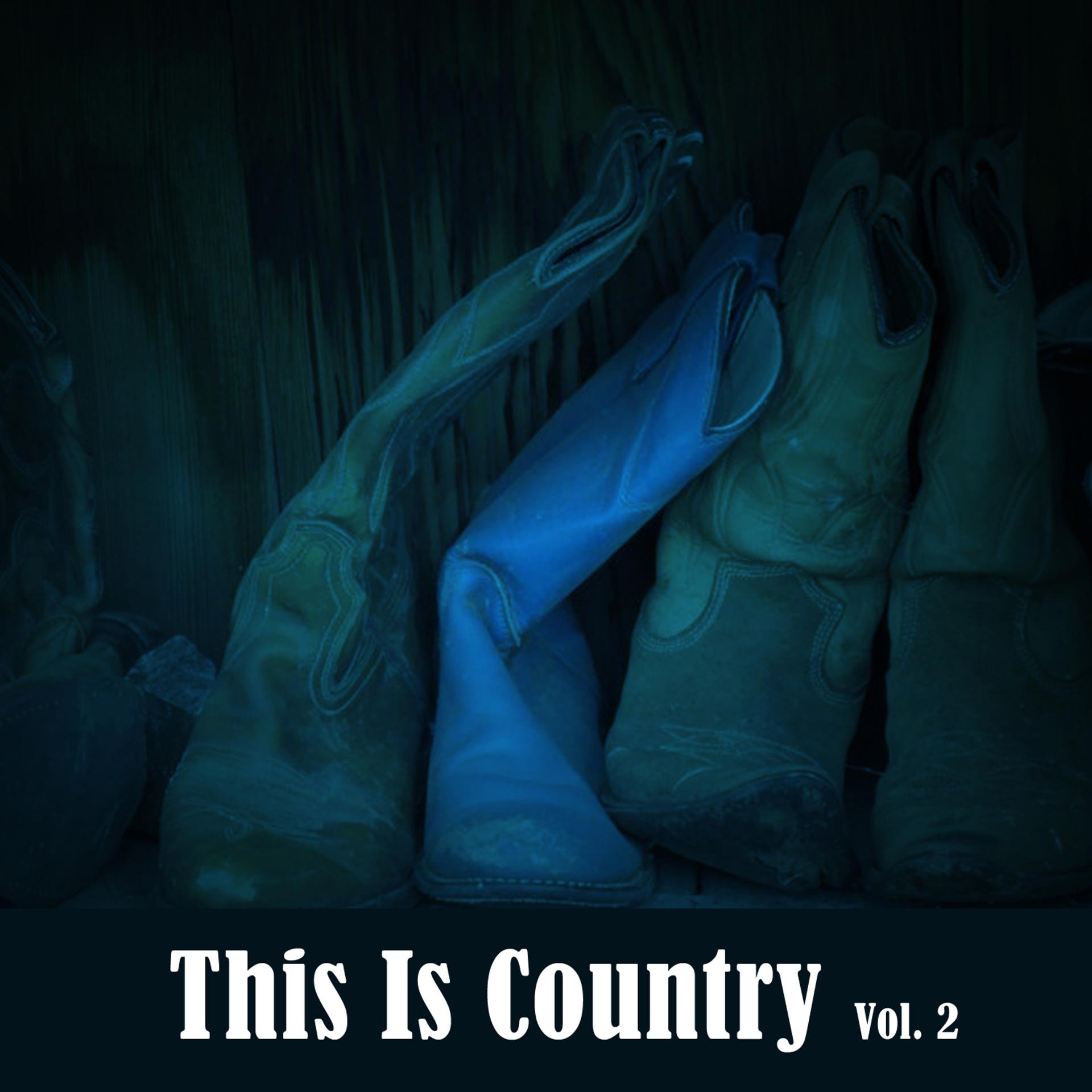 Постер альбома This Is Country, Vol. 2