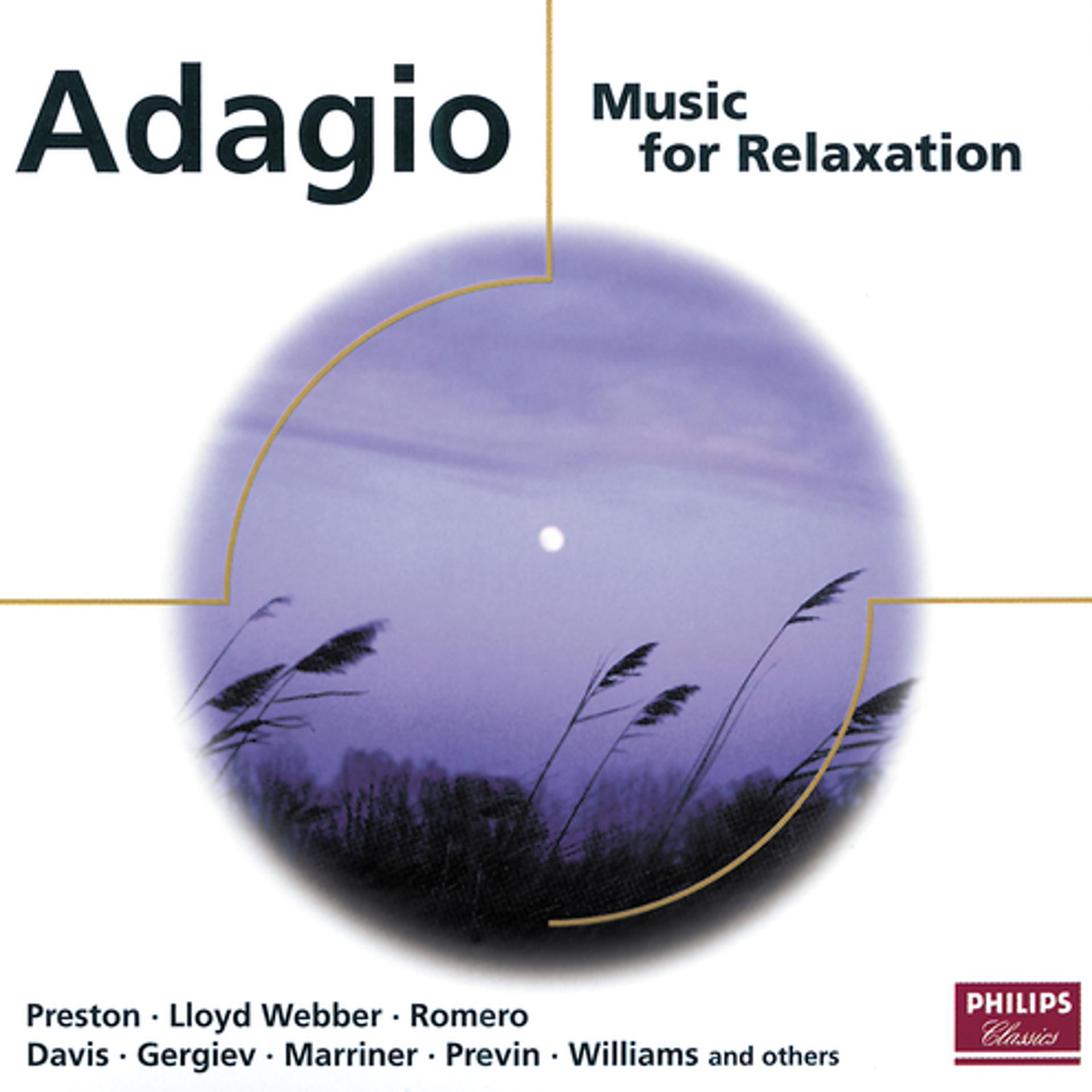 Постер альбома Adagio: Music for Relaxation