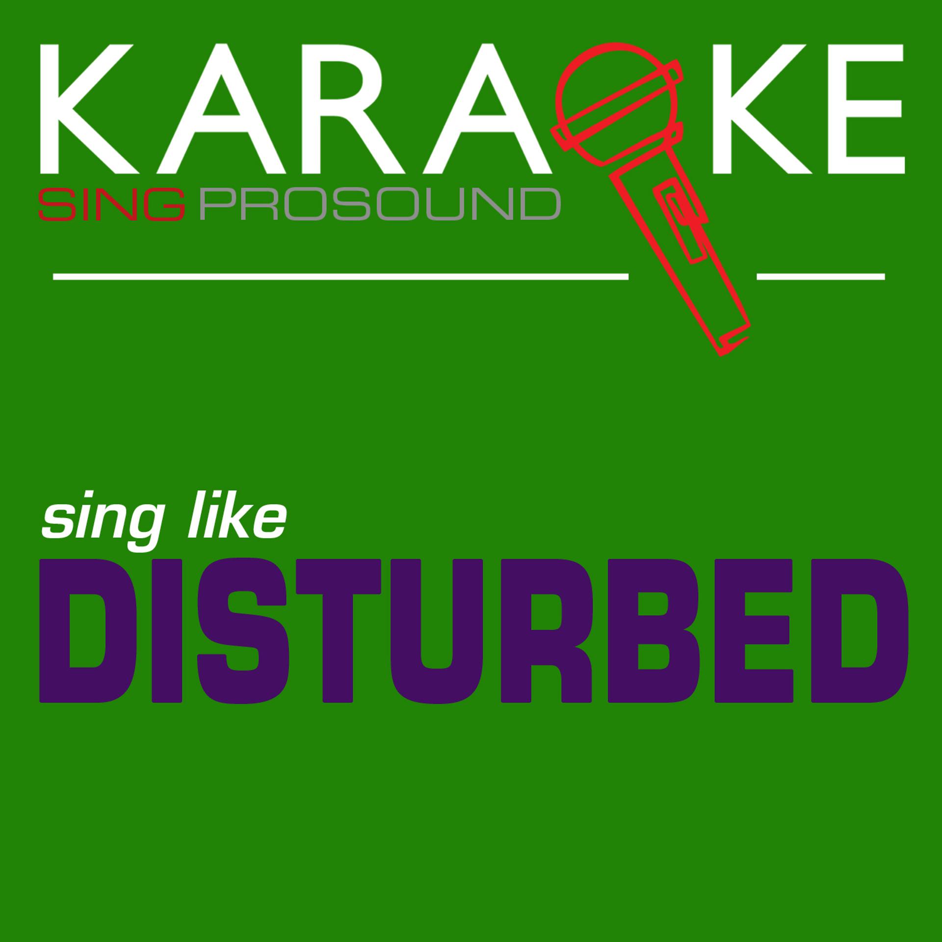 Постер альбома Karaoke in the Style of Distrubed