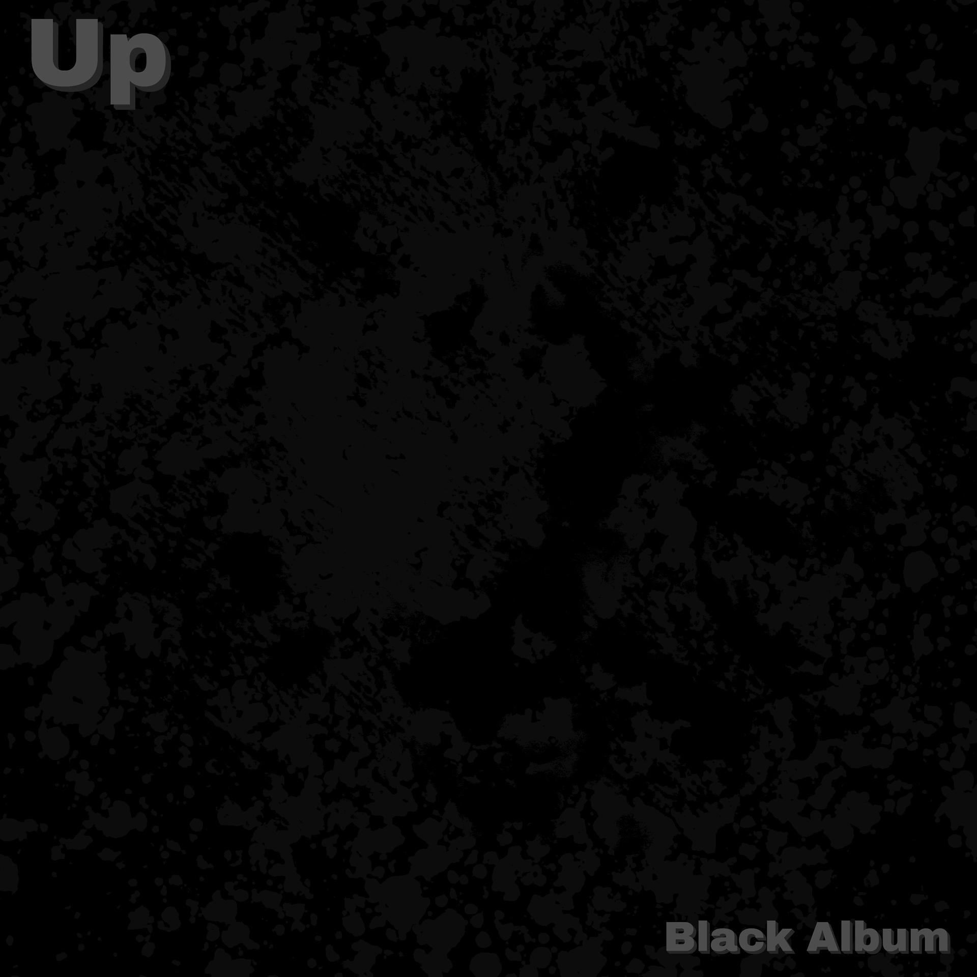 Постер альбома Black Album