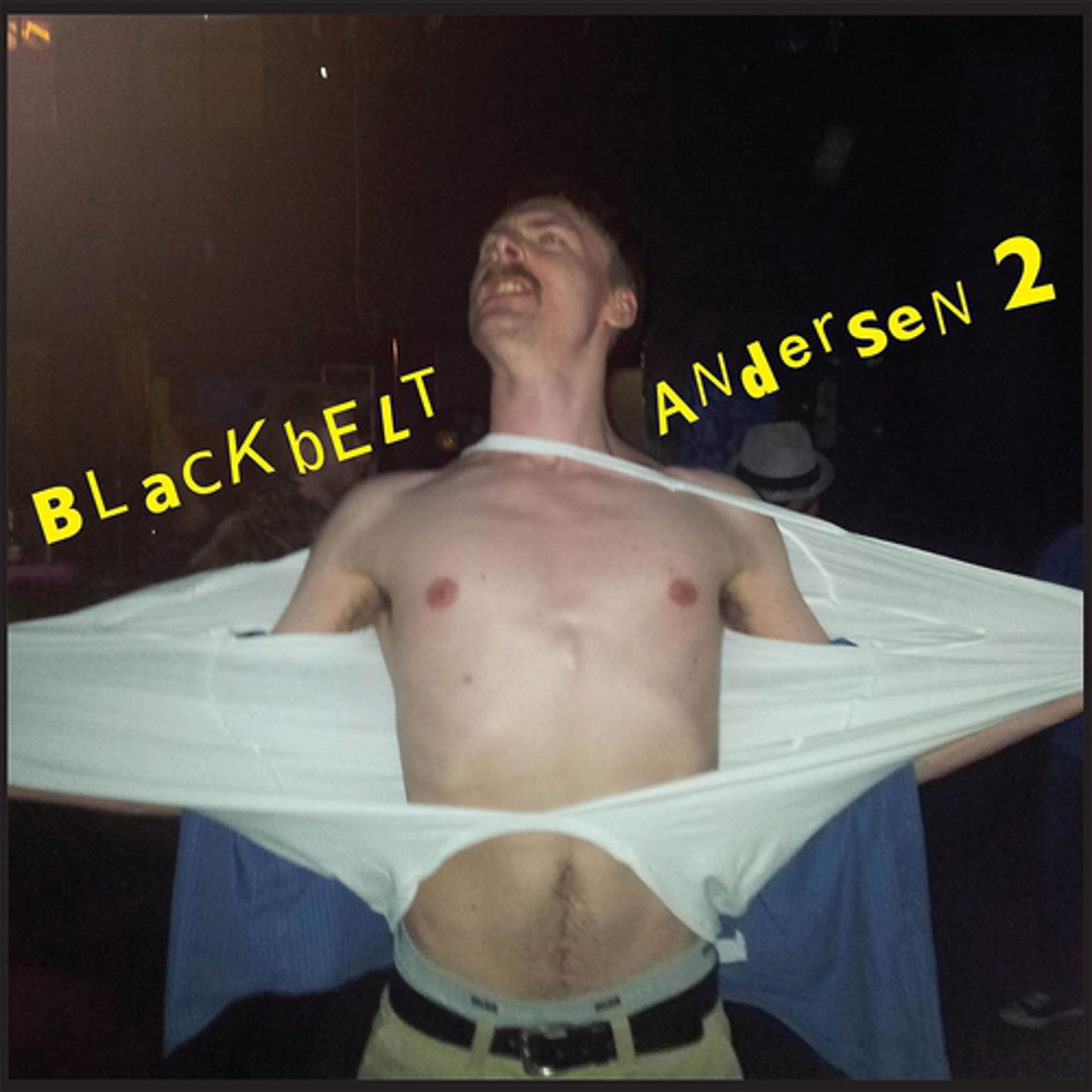Постер альбома Blackbelt Andersen II