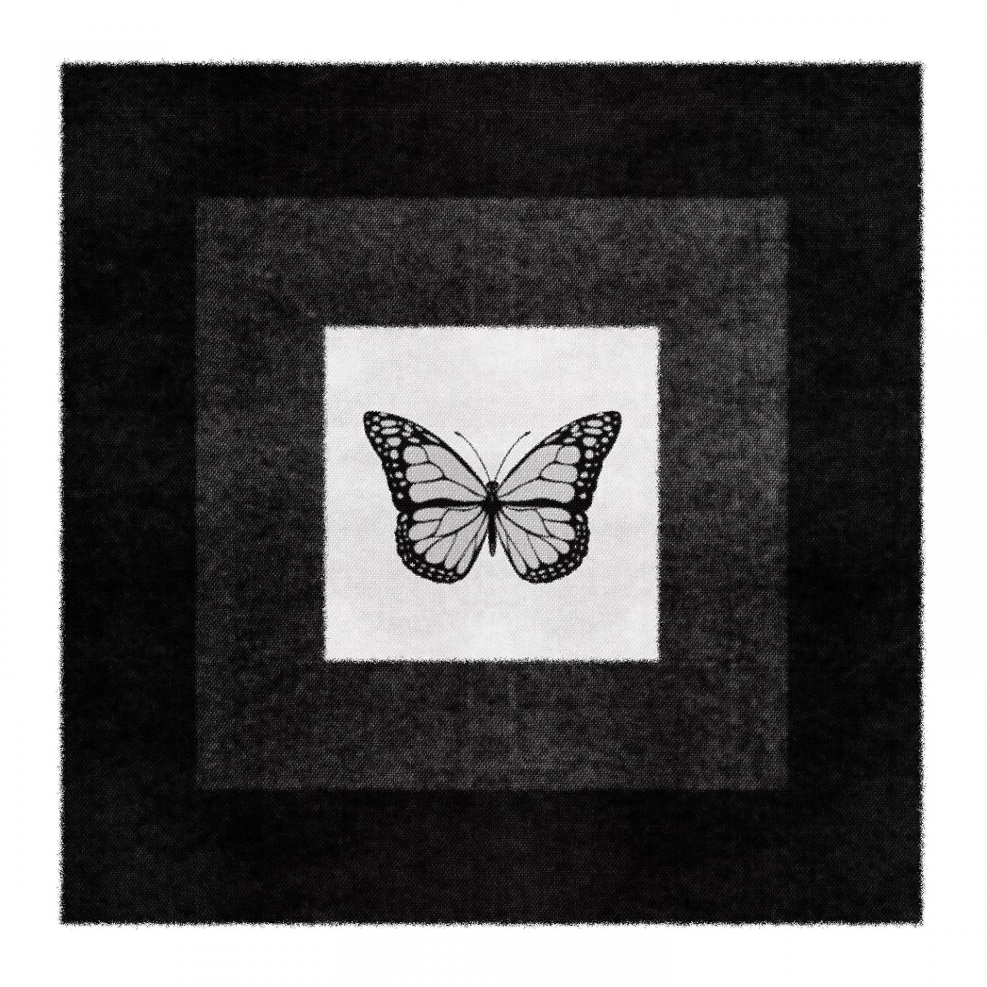 Постер альбома Чёрно-белая