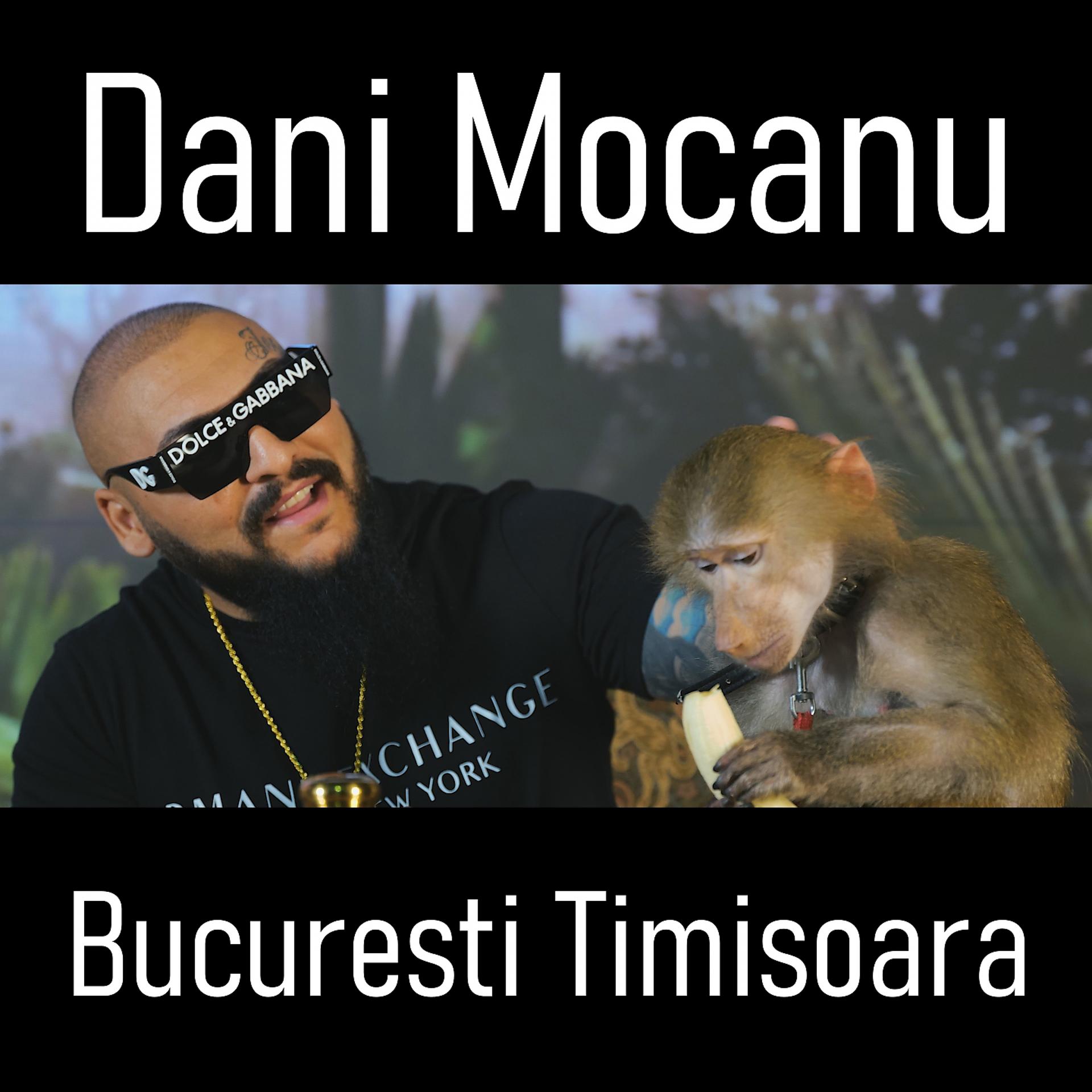 Постер альбома Bucuresti Timisoara