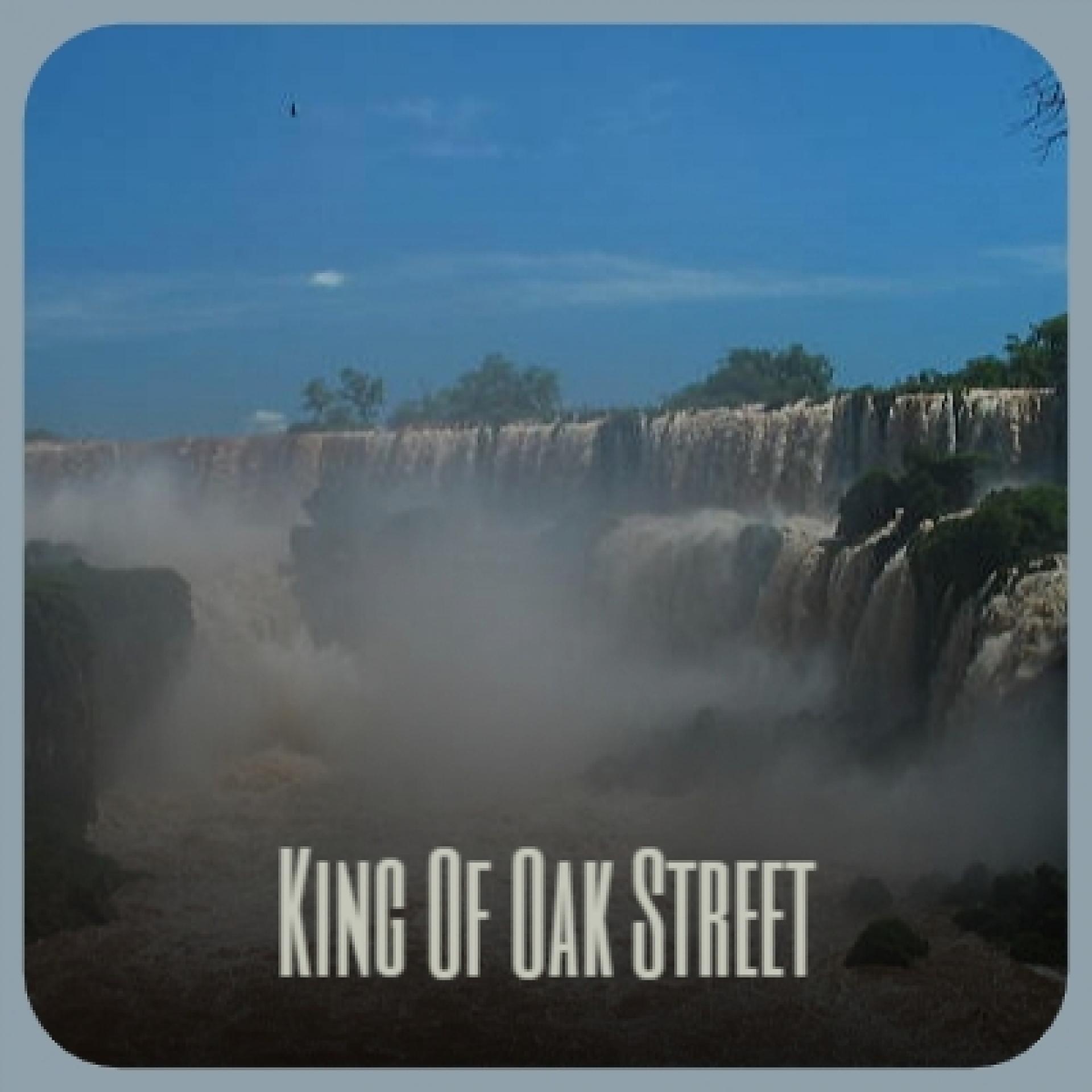 Постер альбома King Of Oak Street