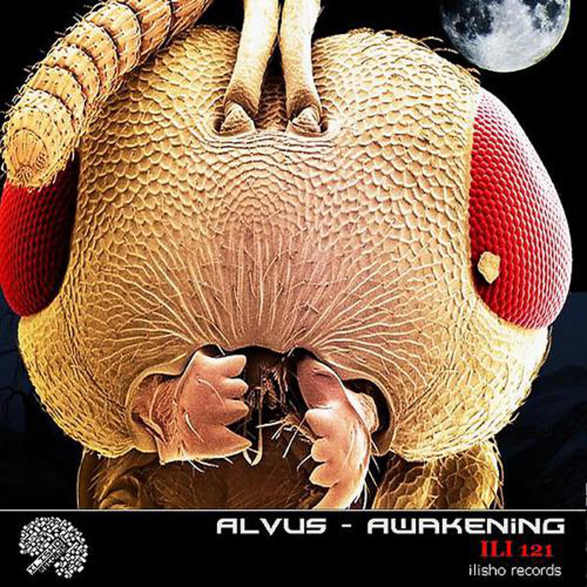 Постер альбома Alvus - Awakening