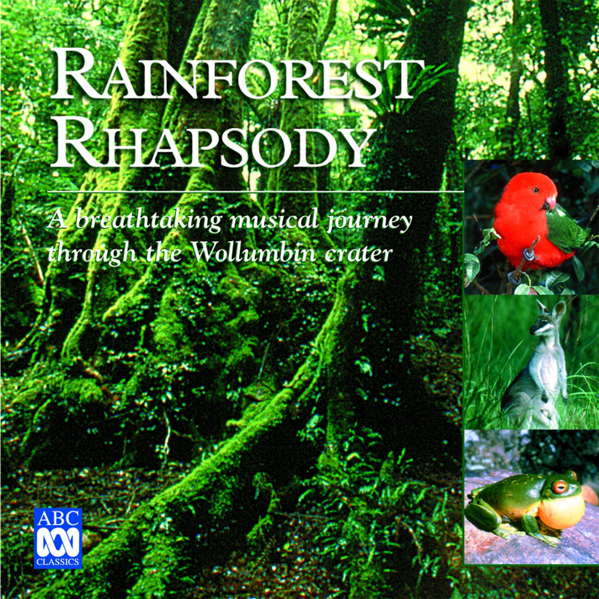 Постер альбома Rainforest Rhapsody