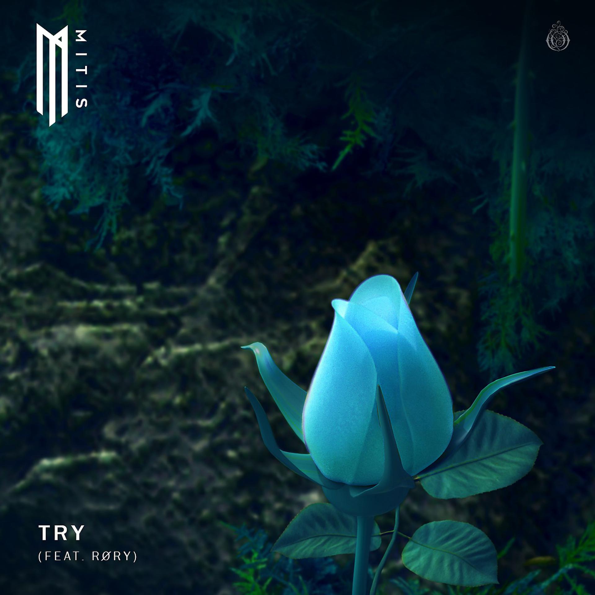 Постер альбома Try (feat. RØRY)