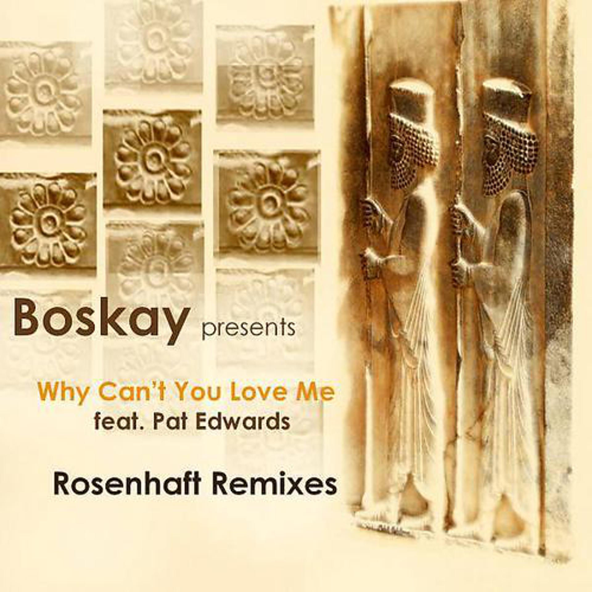 Постер альбома Why Can't You Love Me(Rosenhaft Remixes)